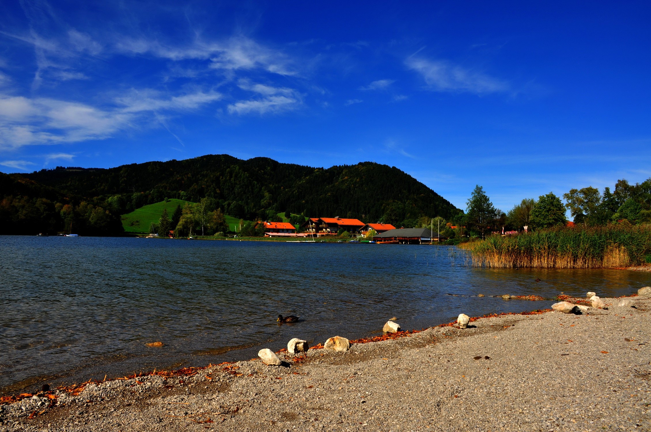 Lake with mountains and buildings in Germany HD Wallpaper