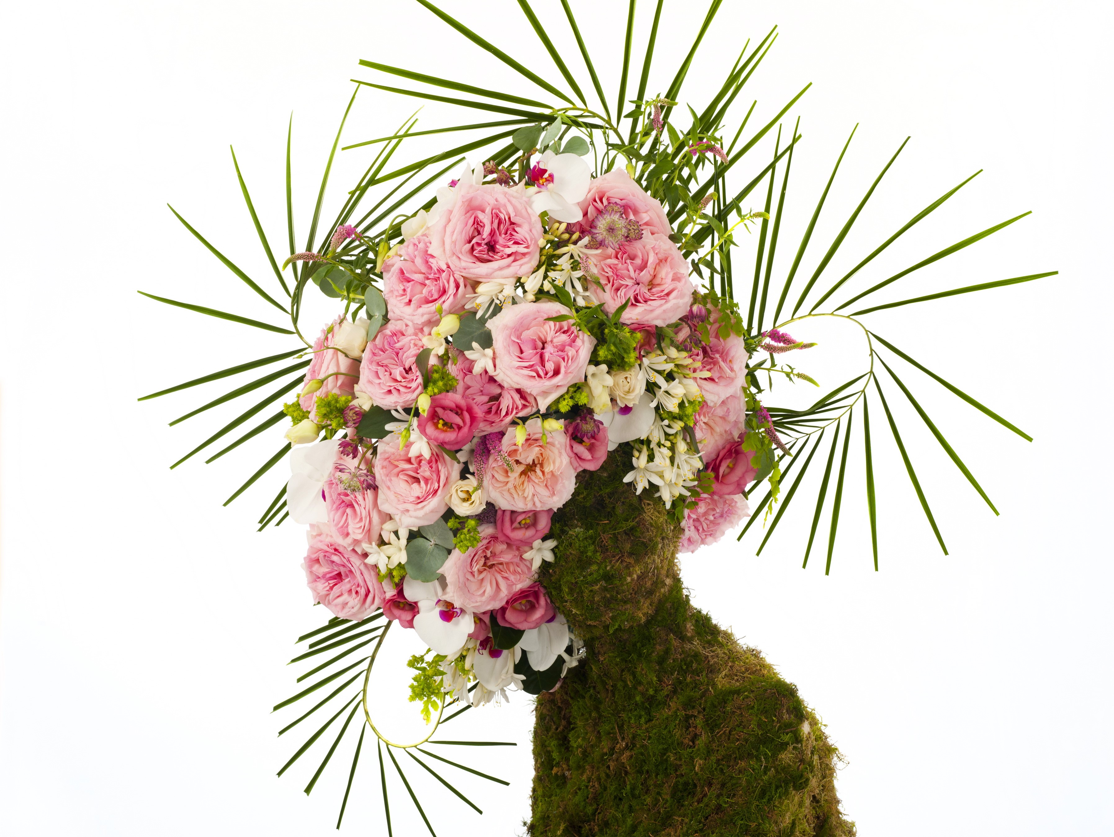 Floral arrangement on moss sculpture HD Wallpaper