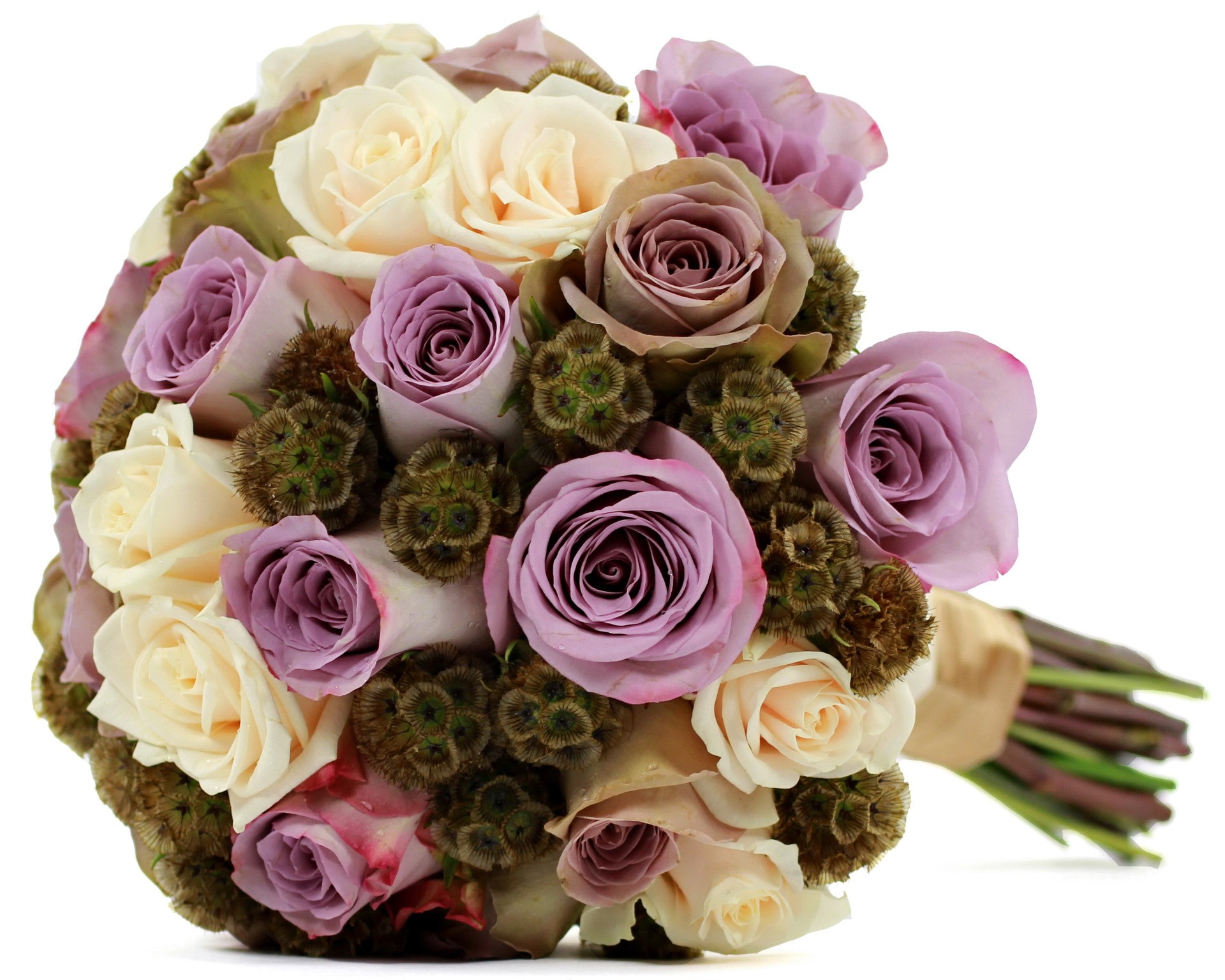 Bouquet of roses and dried flowers HD Wallpaper