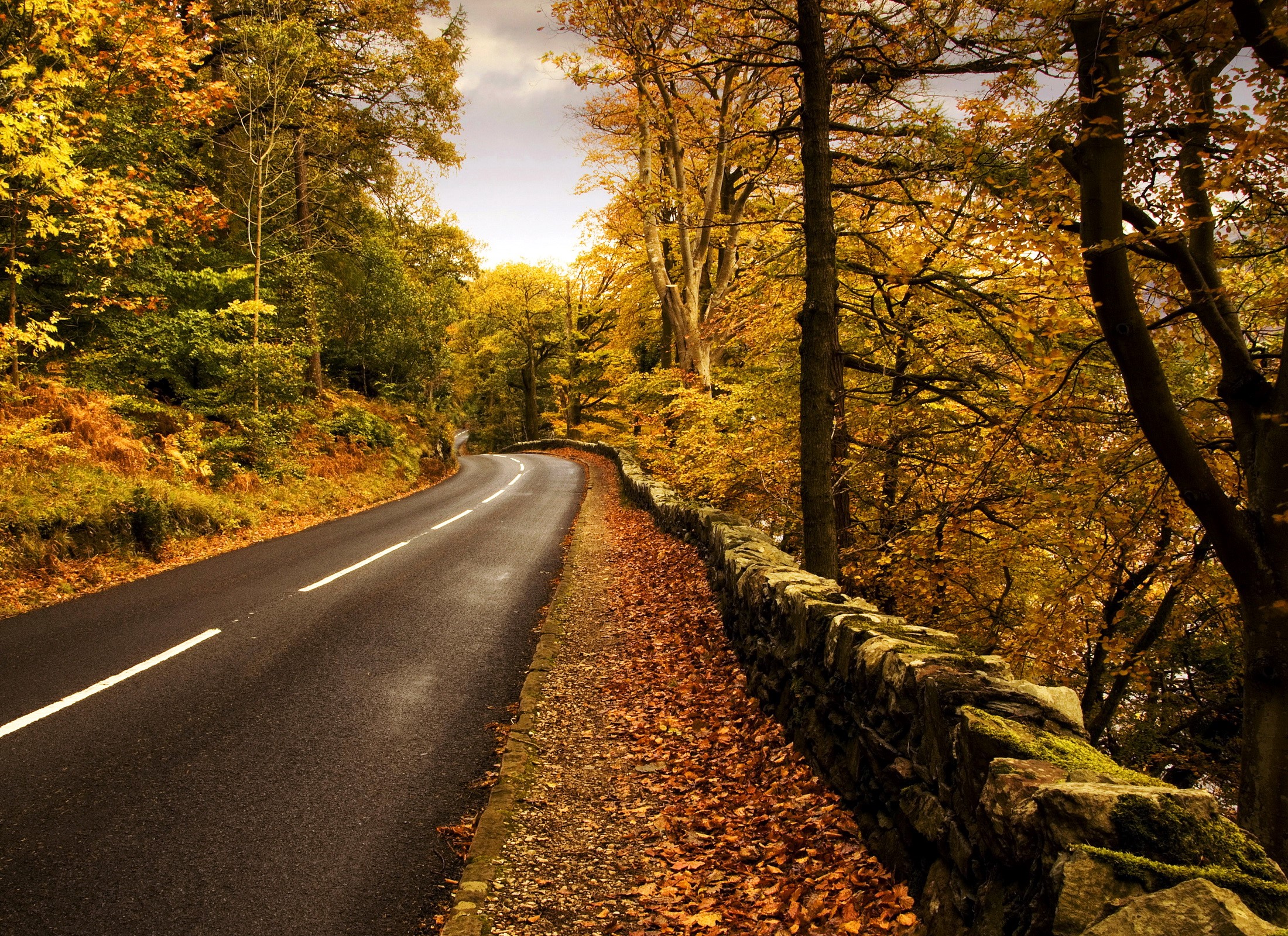 Road through autumn forest with stone wall HD Wallpaper