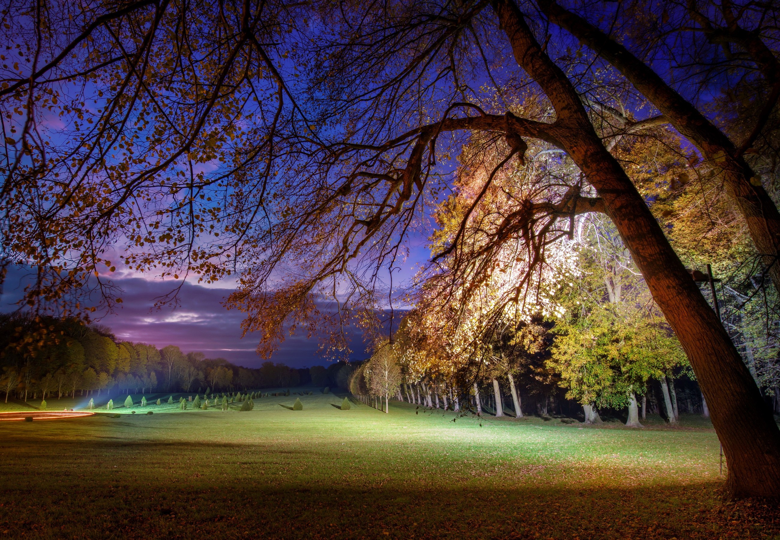 Park at night with illuminated trees and lawn HD Wallpaper