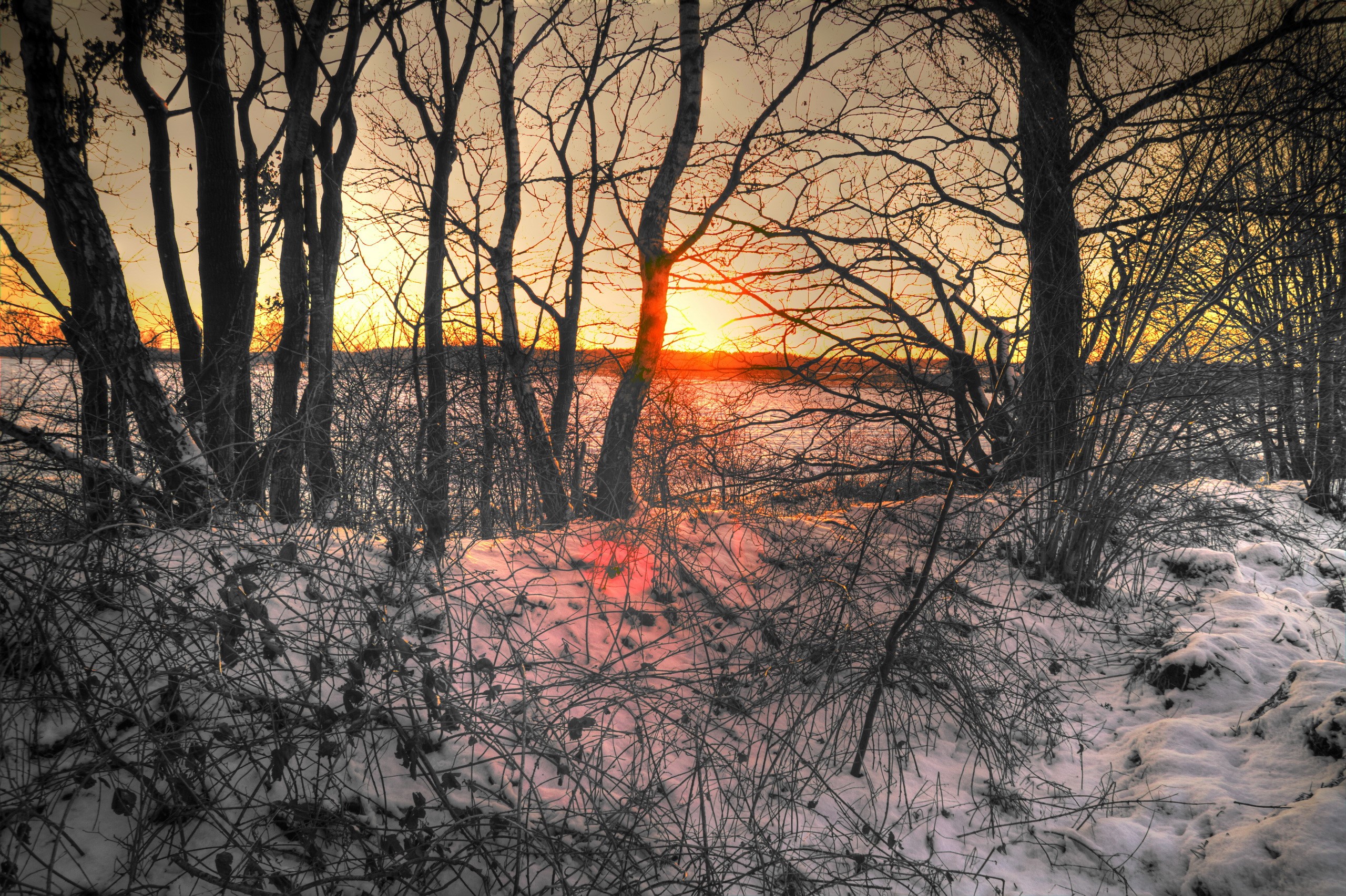 Winter sunset through bare trees with snow HD Wallpaper