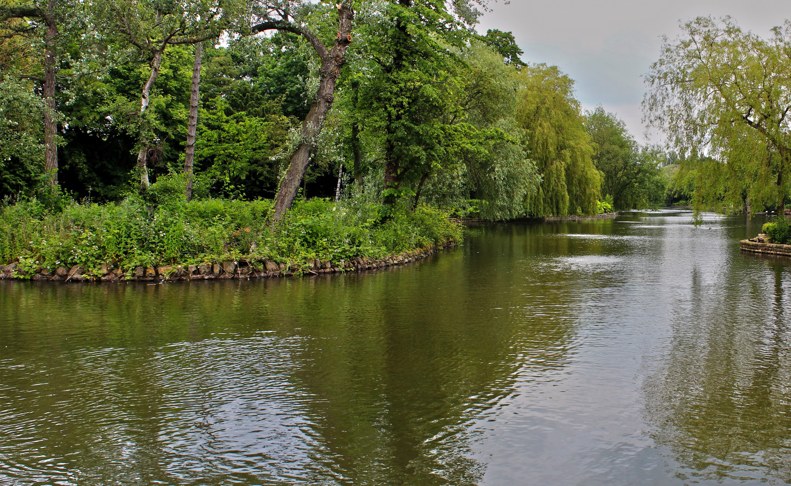 Park with a river and trees HD Wallpaper