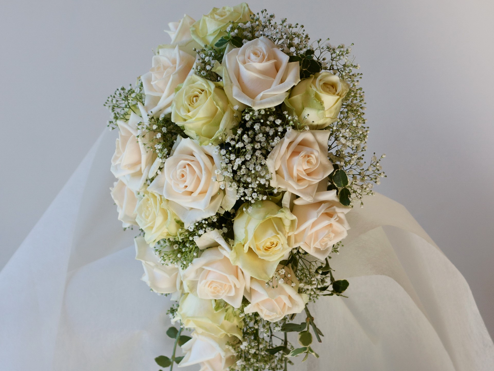 Cascading bouquet of cream and yellow roses with baby's breath HD Wallpaper