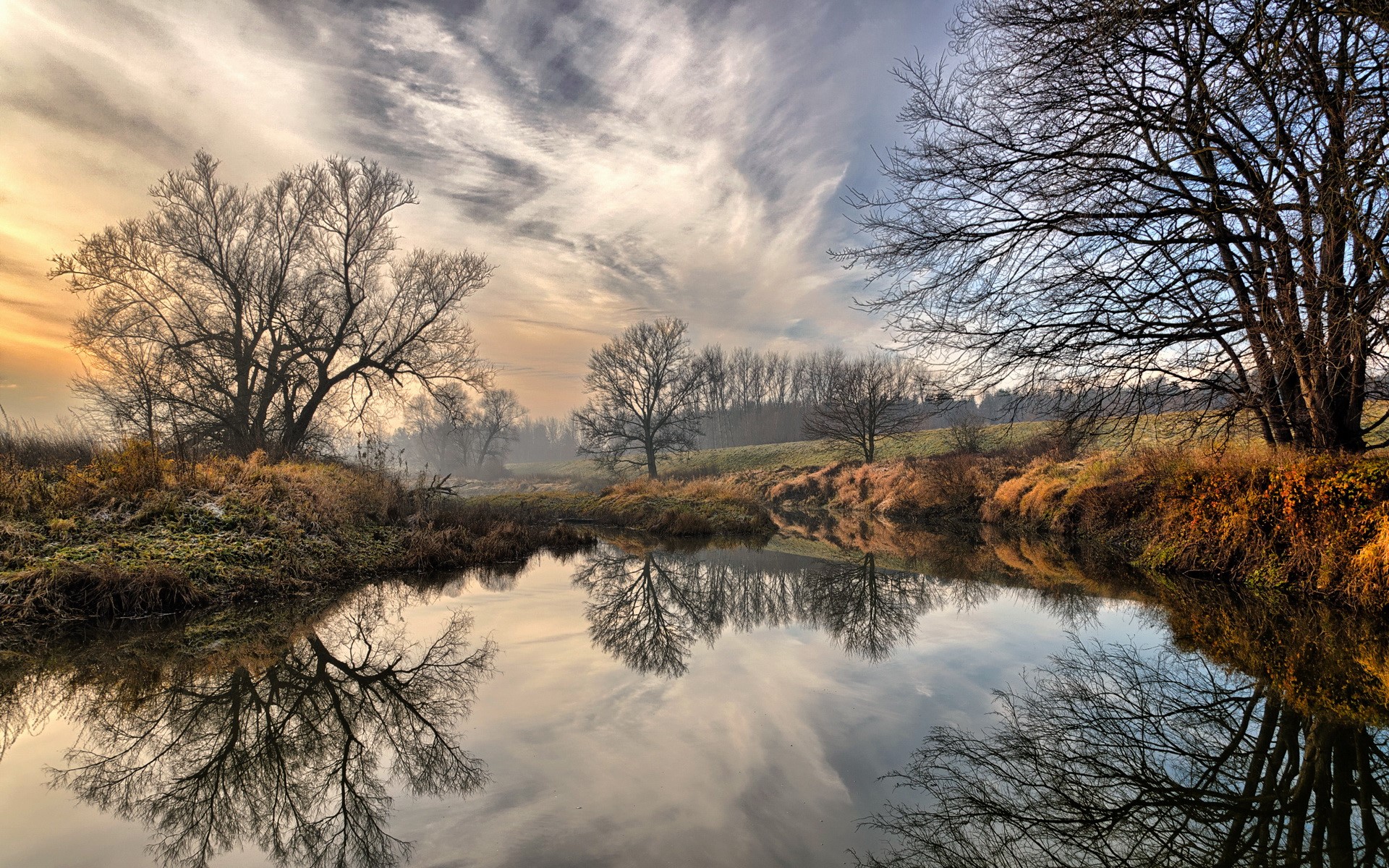 Bare trees reflected in a calm river during winter HD Wallpaper