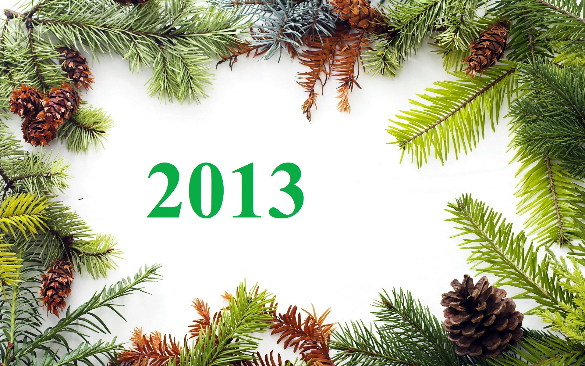 Christmas branches and pine cones with the year 2013 HD Wallpaper