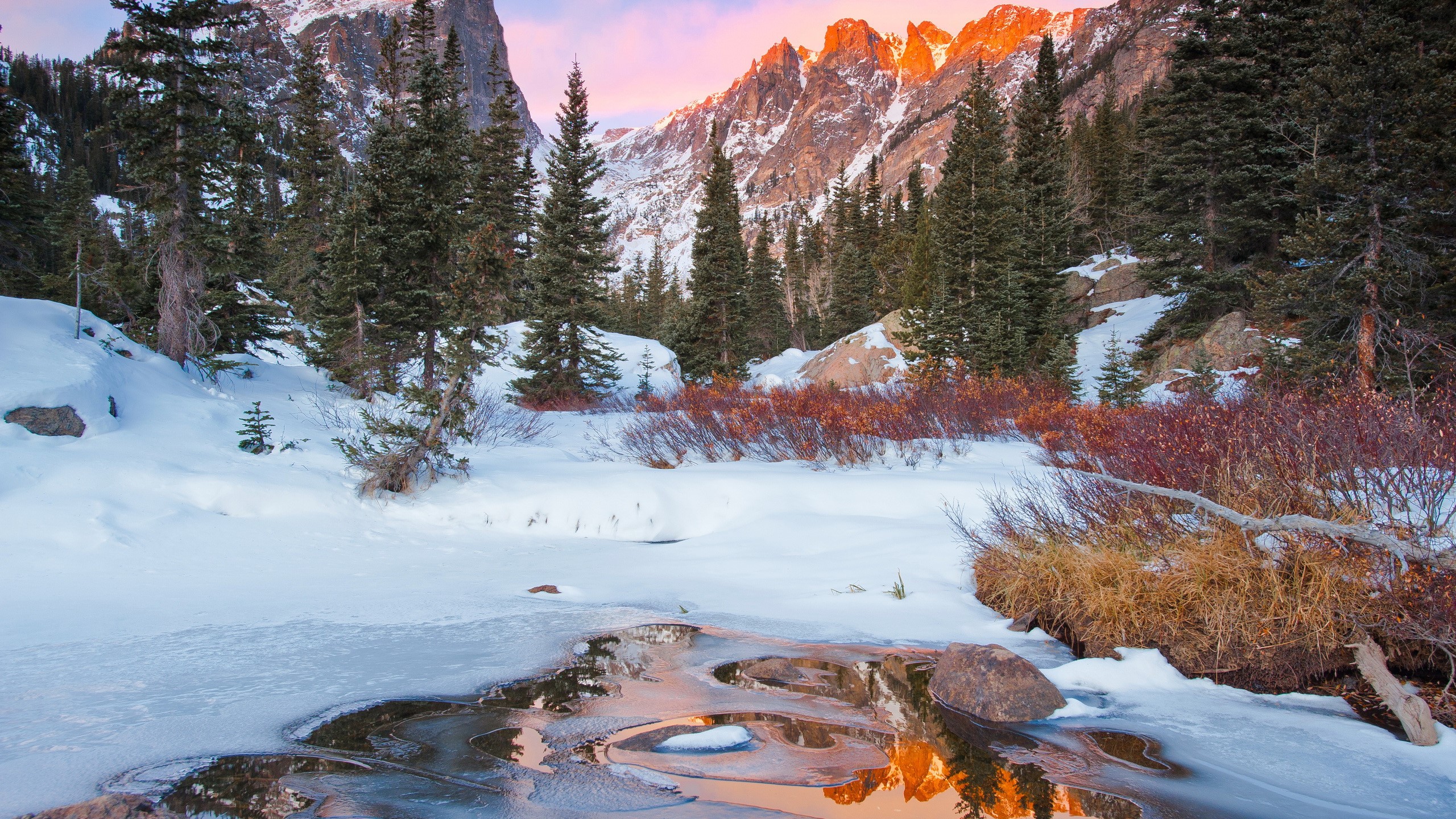 Winter mountain landscape with snow and trees at sunrise HD Wallpaper