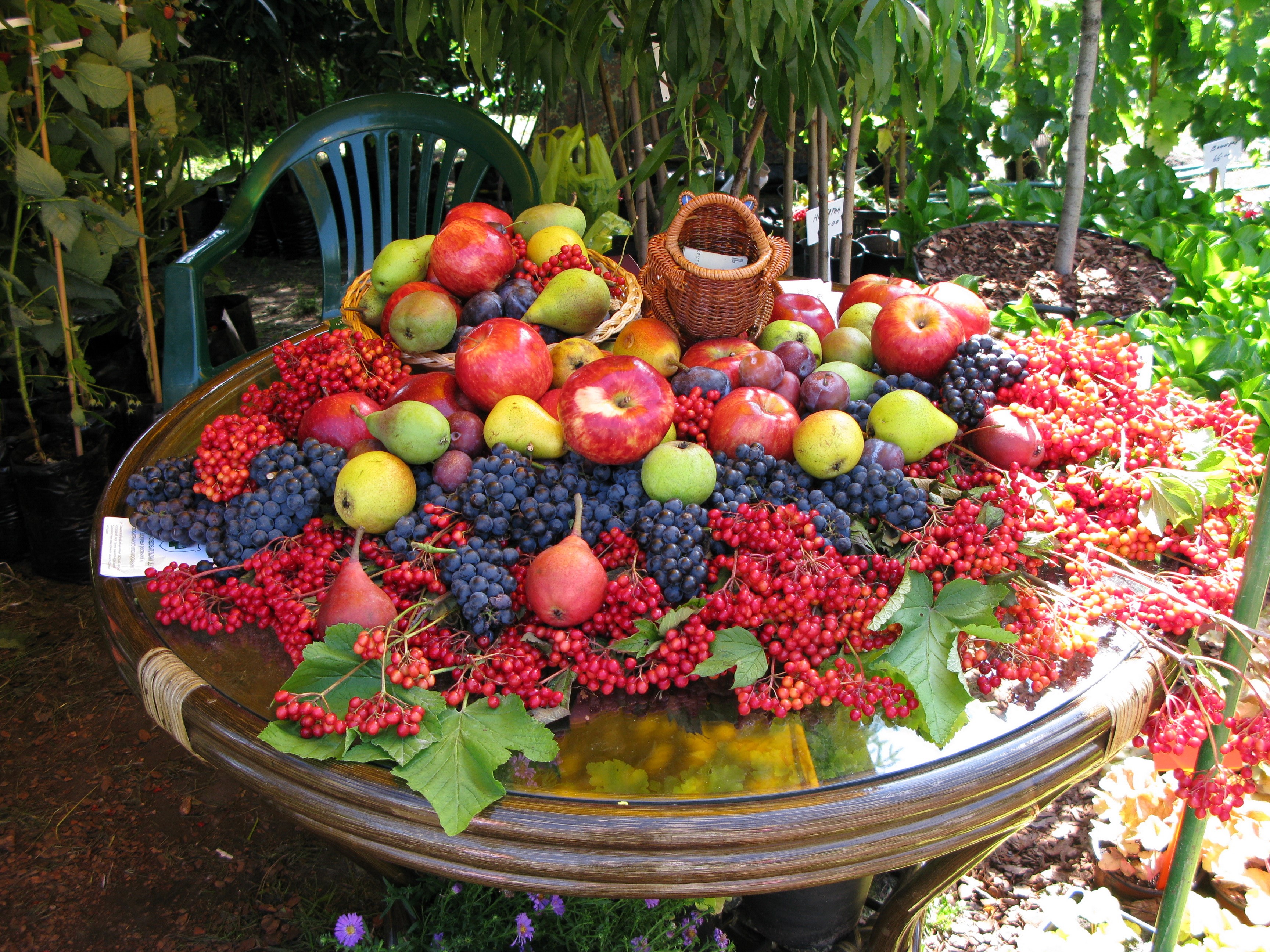 Fruit display with apples, pears, grapes, and berries HD Wallpaper