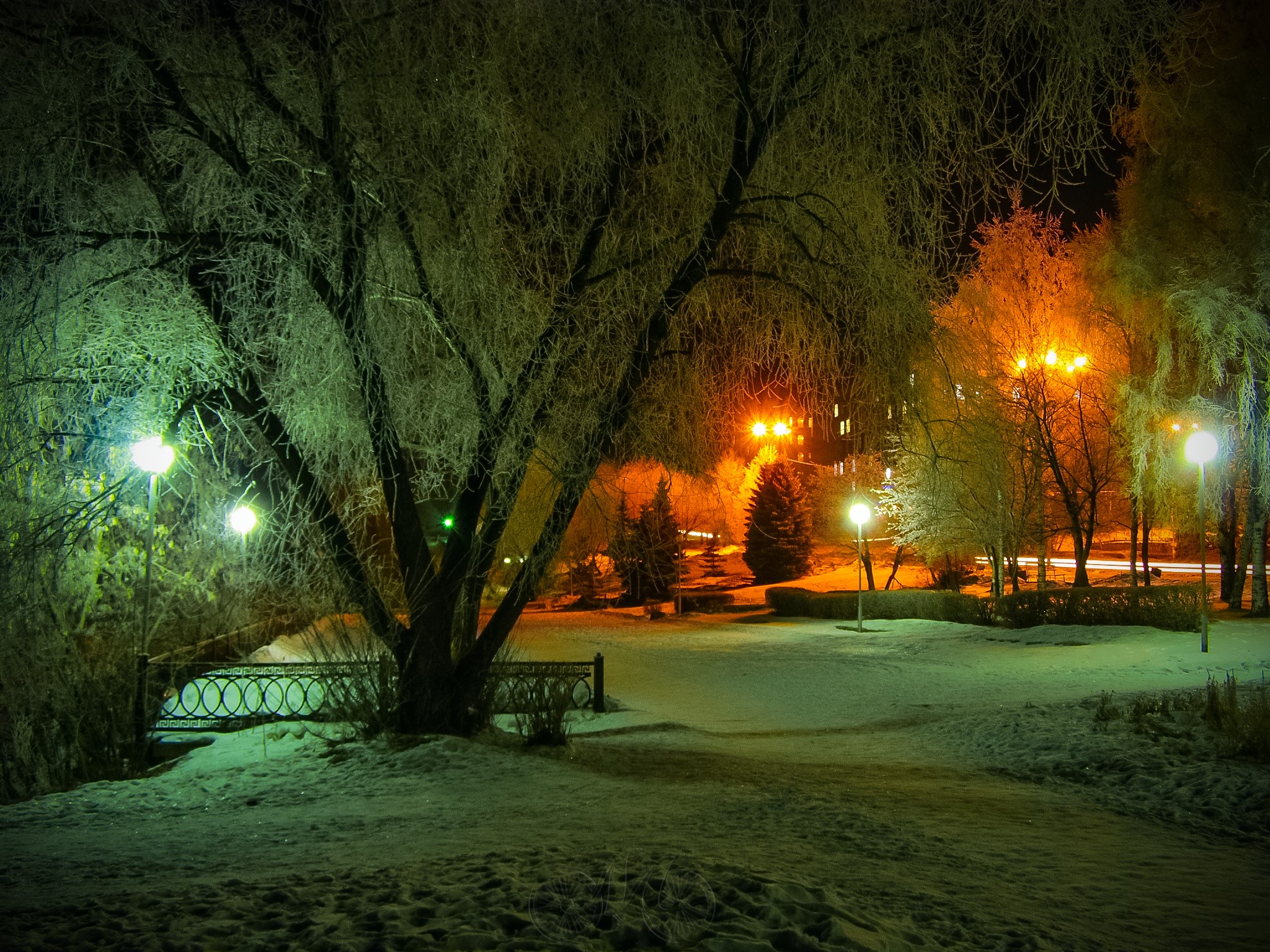Winter park at night with streetlights and snow HD Wallpaper