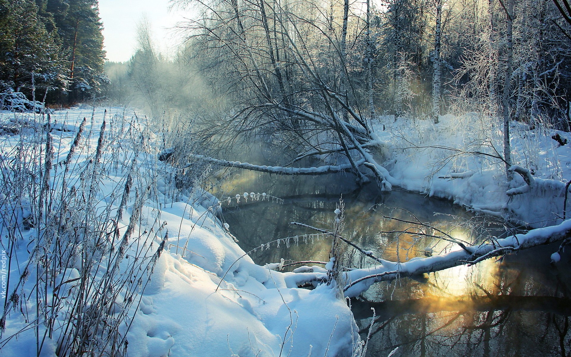 Winter river in a snowy forest with mist HD Wallpaper