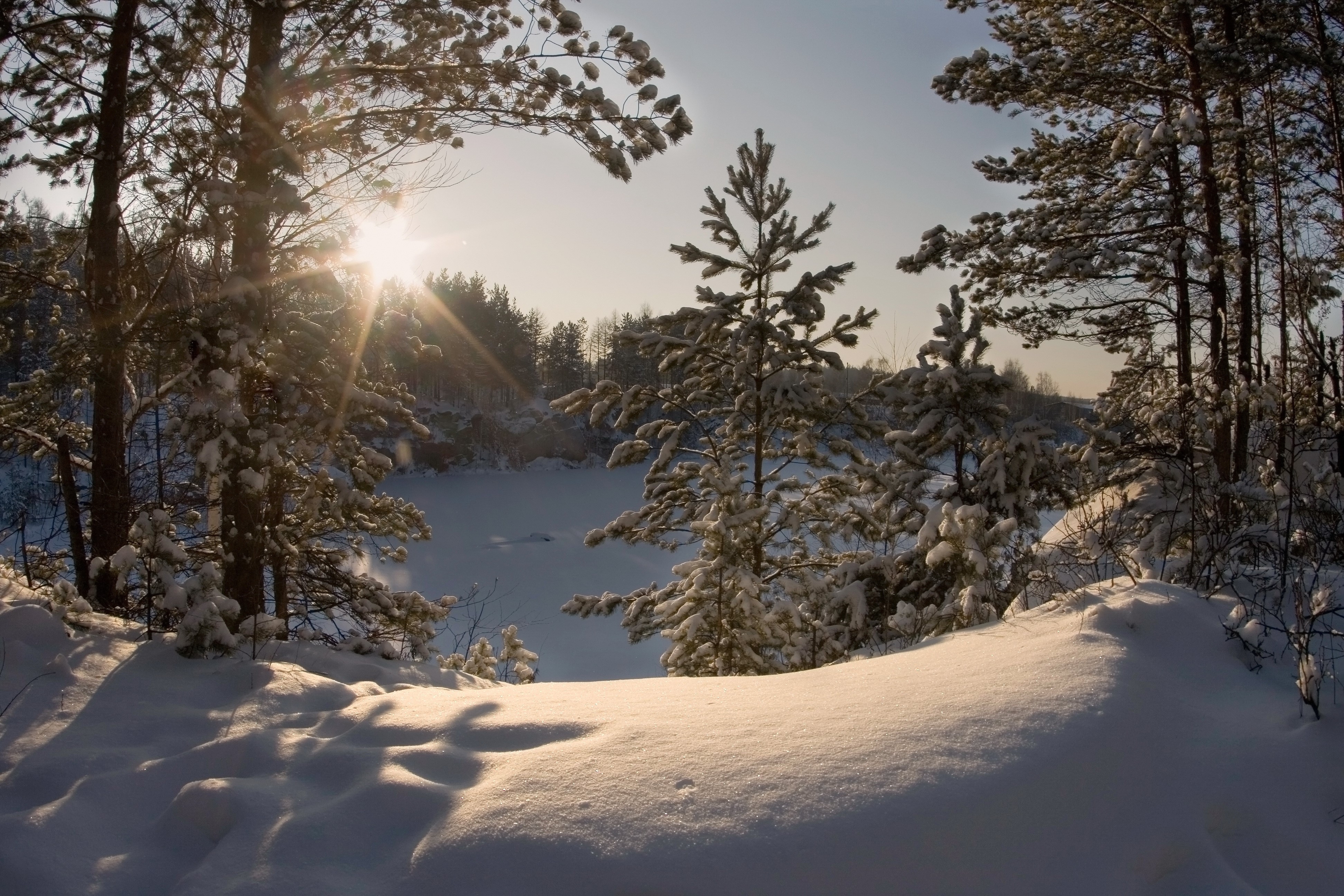 Winter forest with sun rays over frozen lake HD Wallpaper