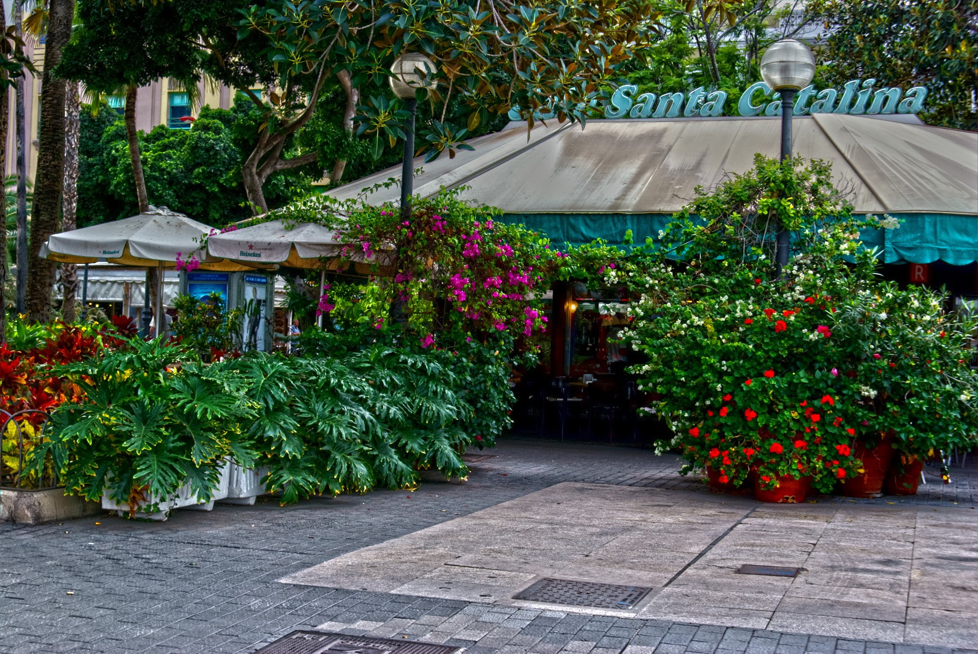 Santa Catalina restaurant with outdoor seating and plants HD Wallpaper