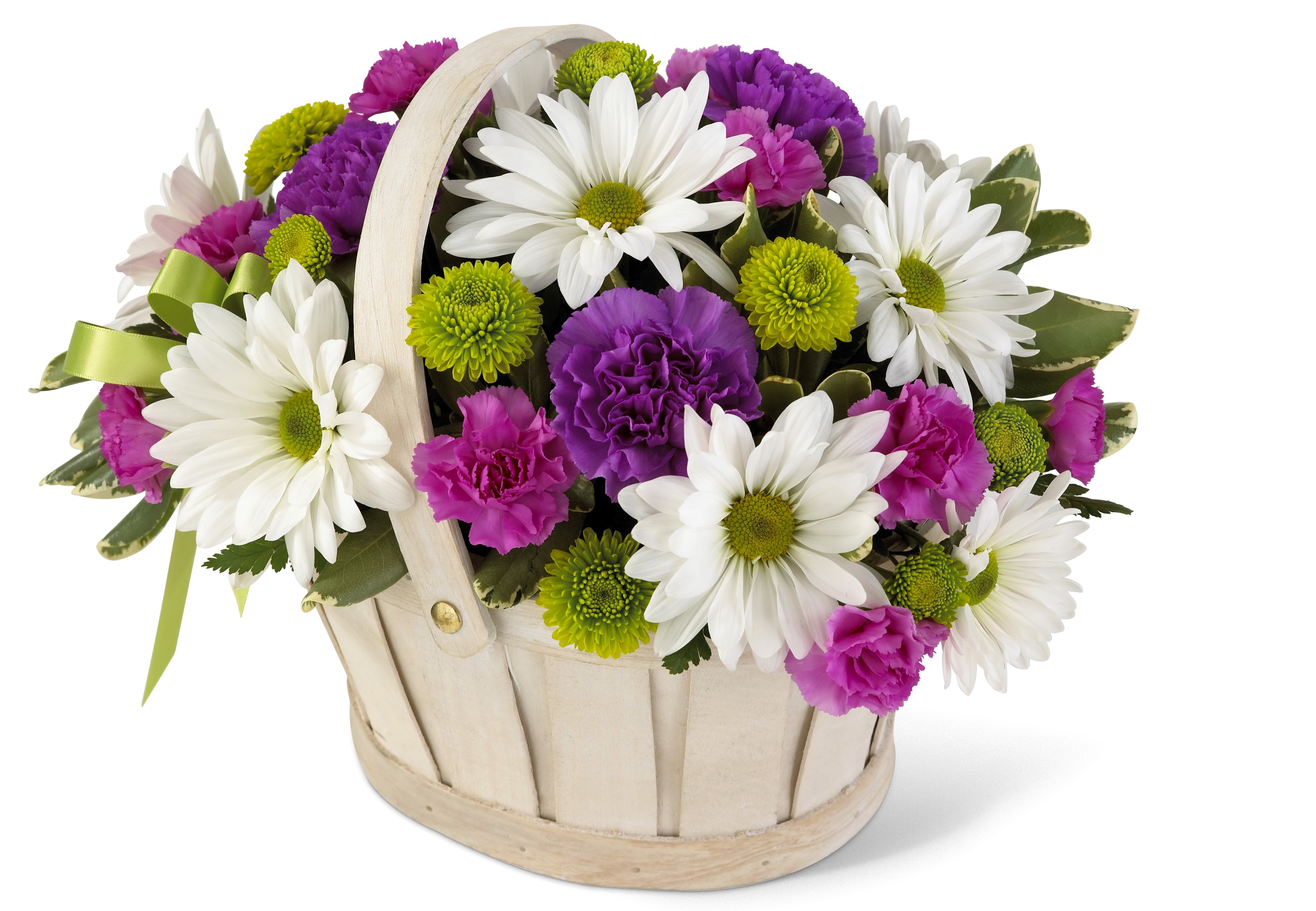 Flower basket with daisies, carnations, and chrysanthemums HD Wallpaper