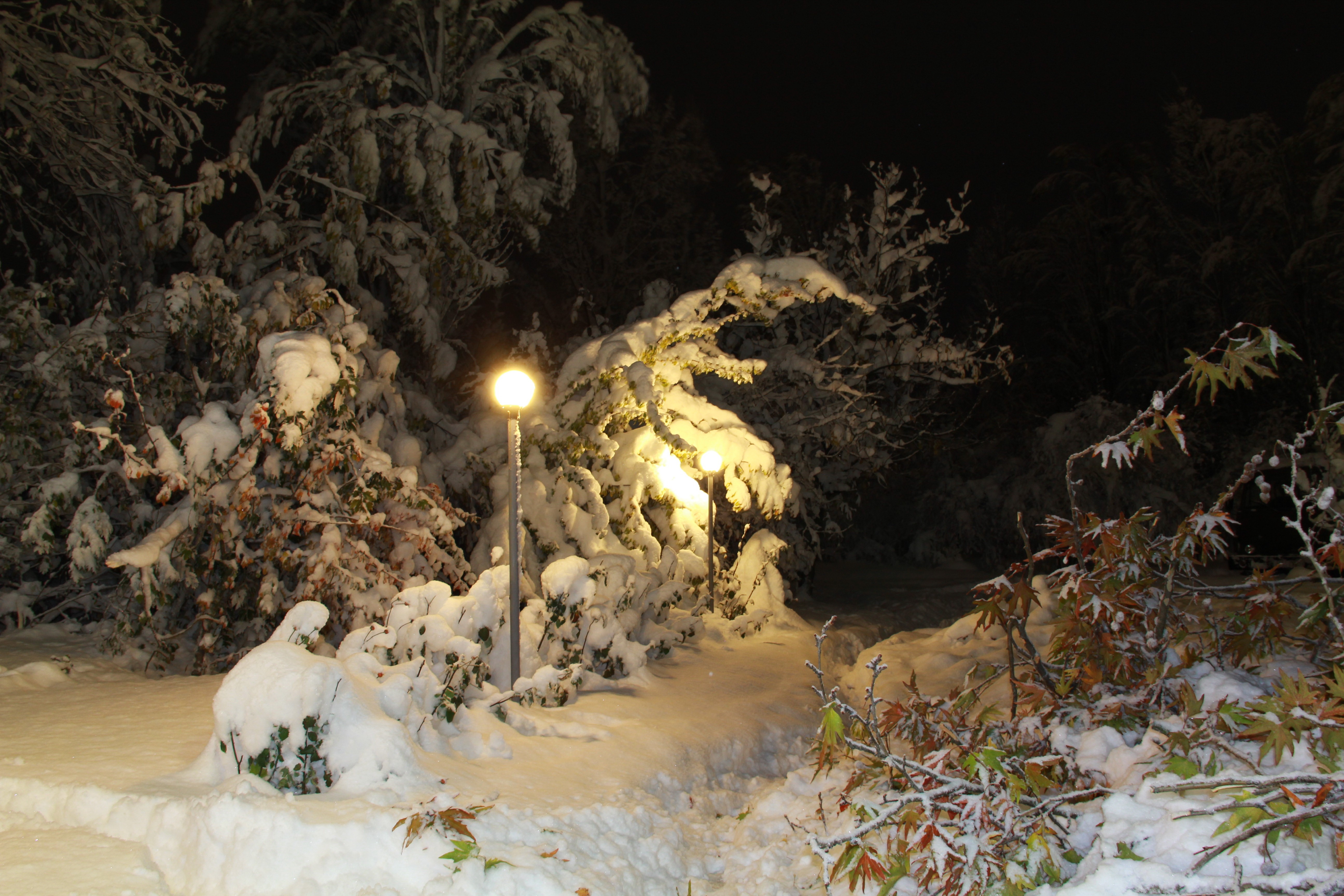Snowy winter night with street lights HD Wallpaper