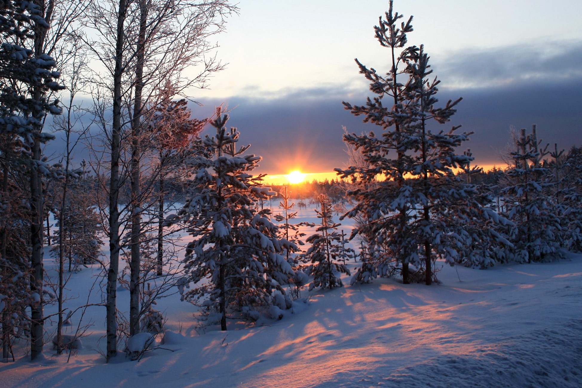 Winter sunset with snow-covered trees and sun rays HD Wallpaper