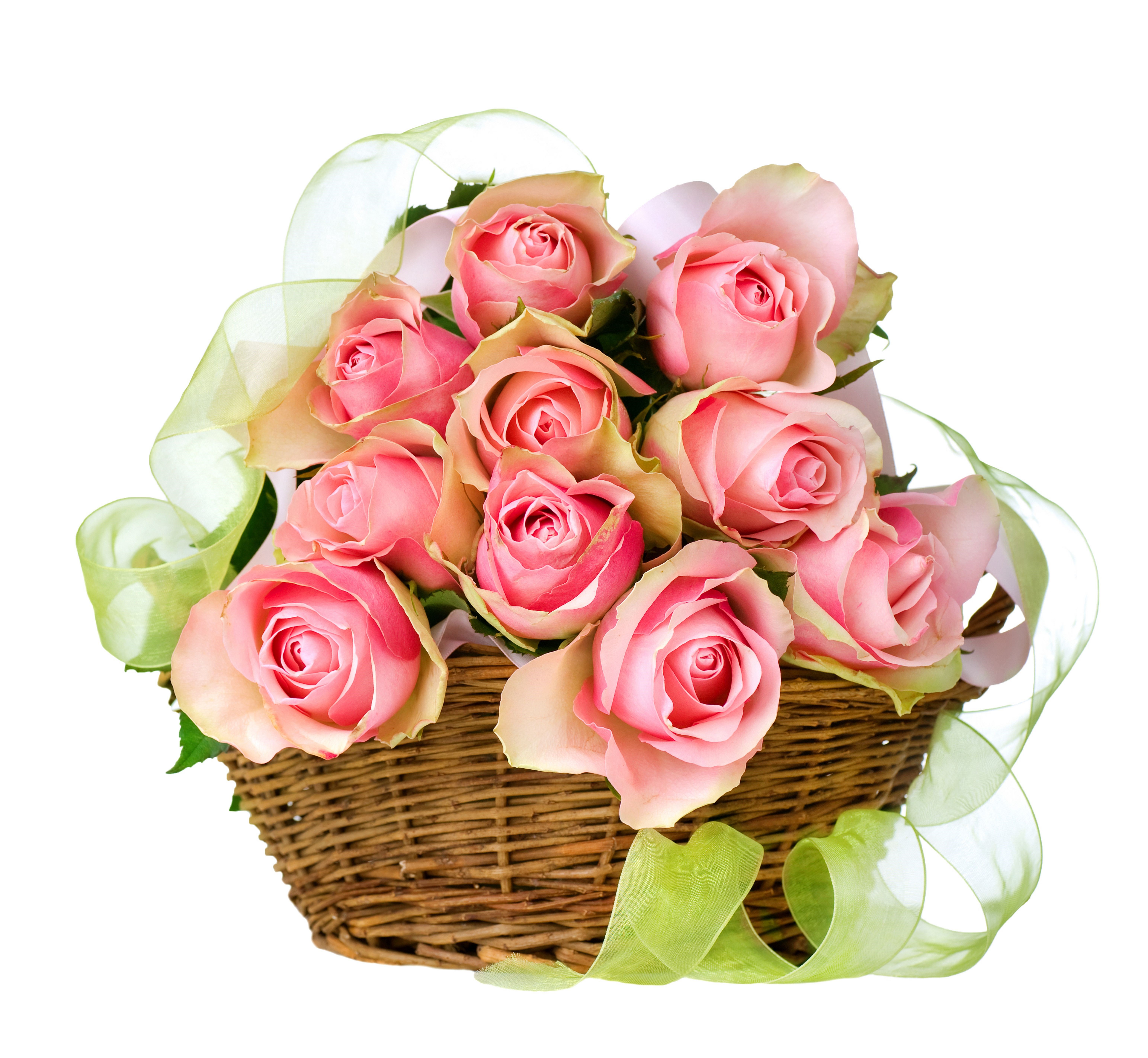 Basket of Pink Roses with Green Ribbon HD Wallpaper