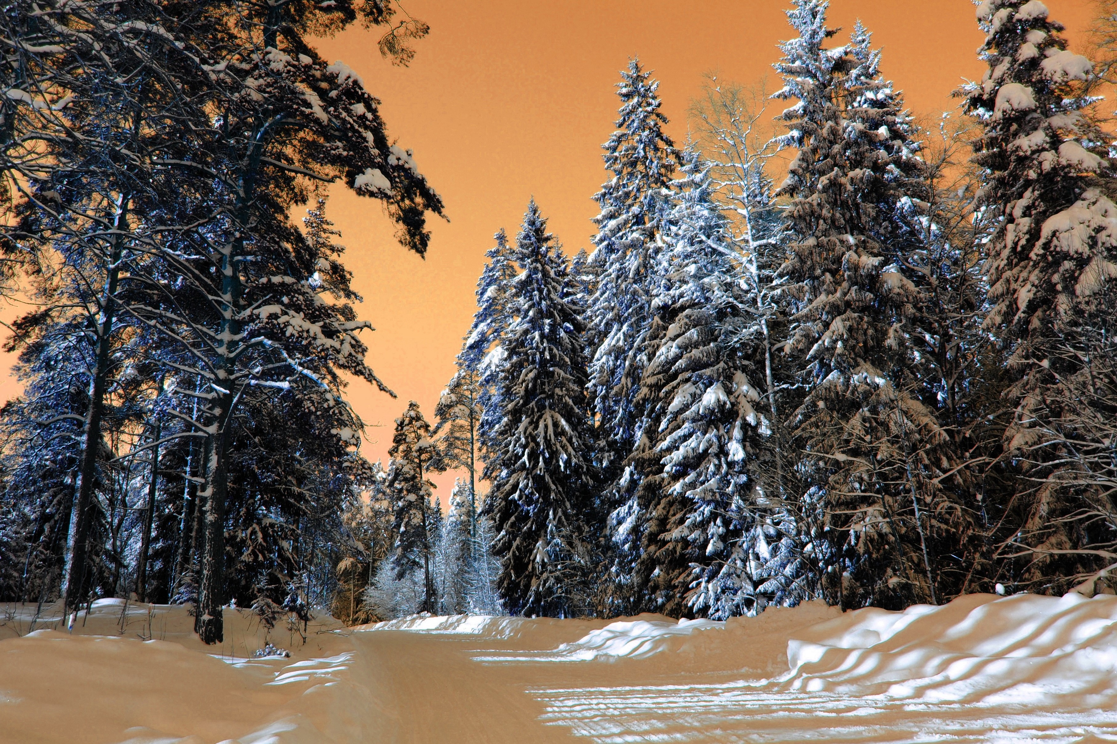 Snowy forest road at night with orange sky HD Wallpaper