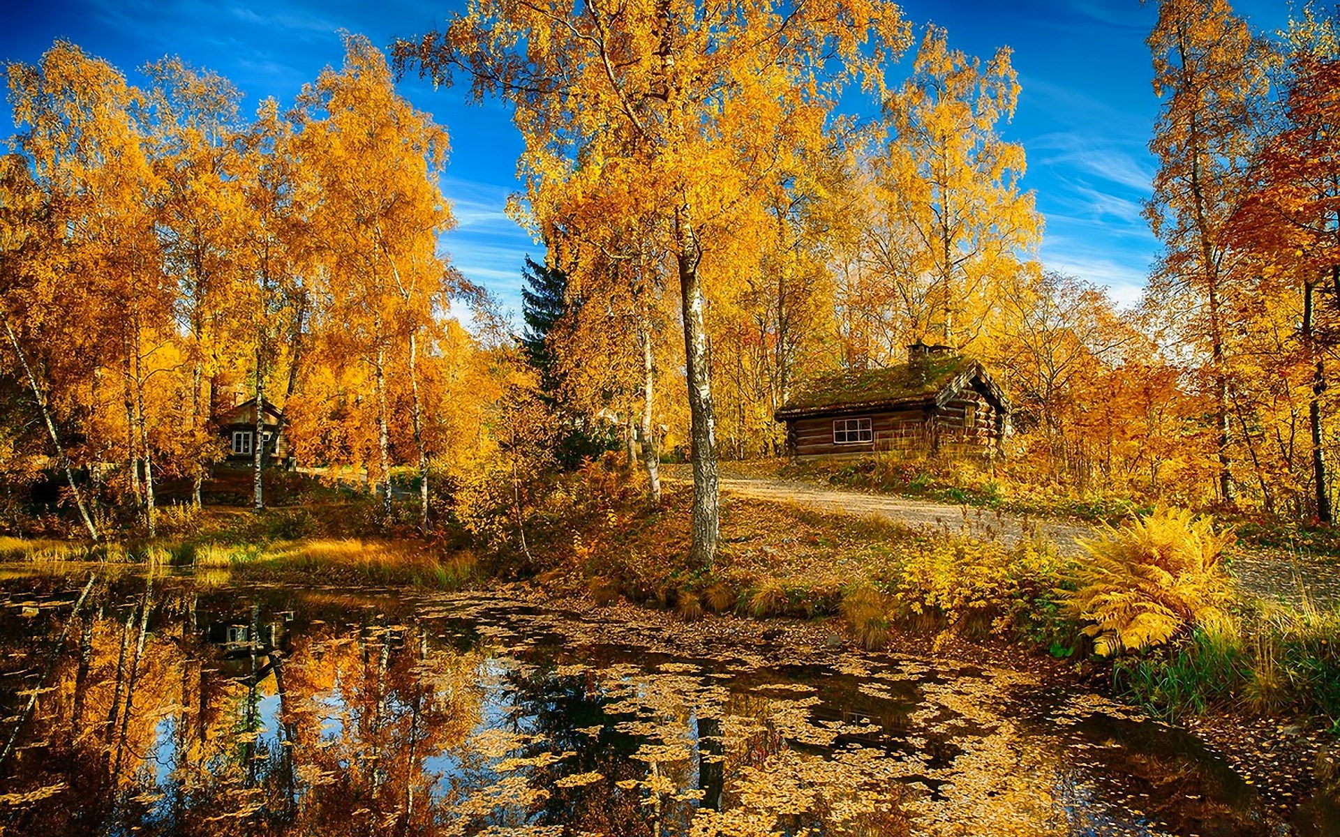 Log cabin by a lake in autumn forest HD Wallpaper