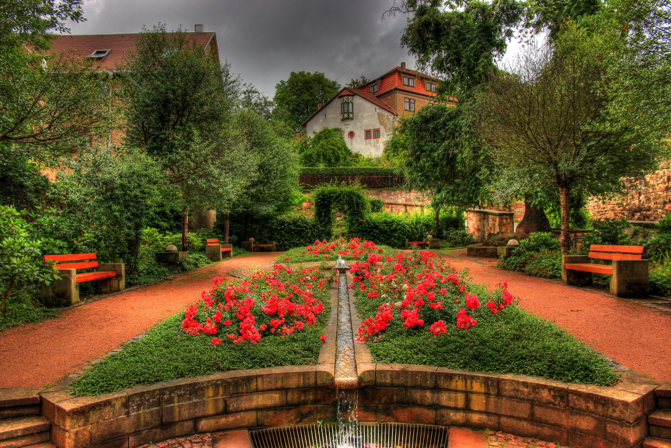 Park in Germany with red roses and fountain HD Wallpaper