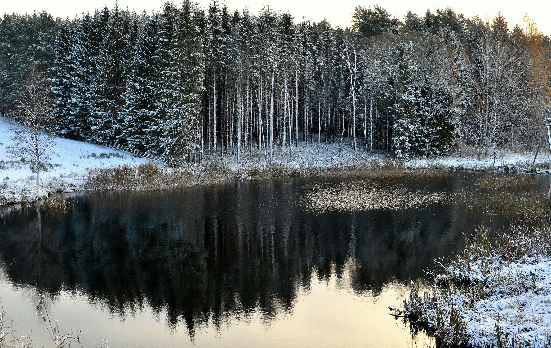 Winter forest reflected in a calm lake HD Wallpaper