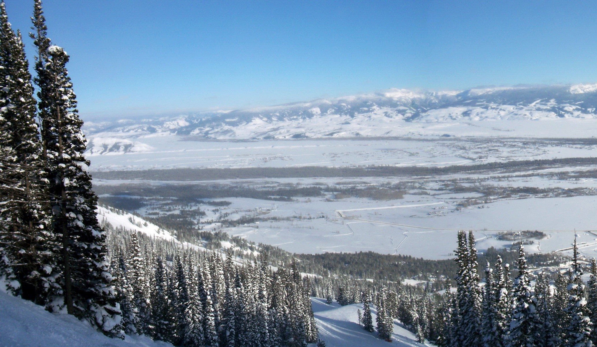 Snowy Mountains and Trees in Grand Teton National Park, Wyoming HD Wallpaper