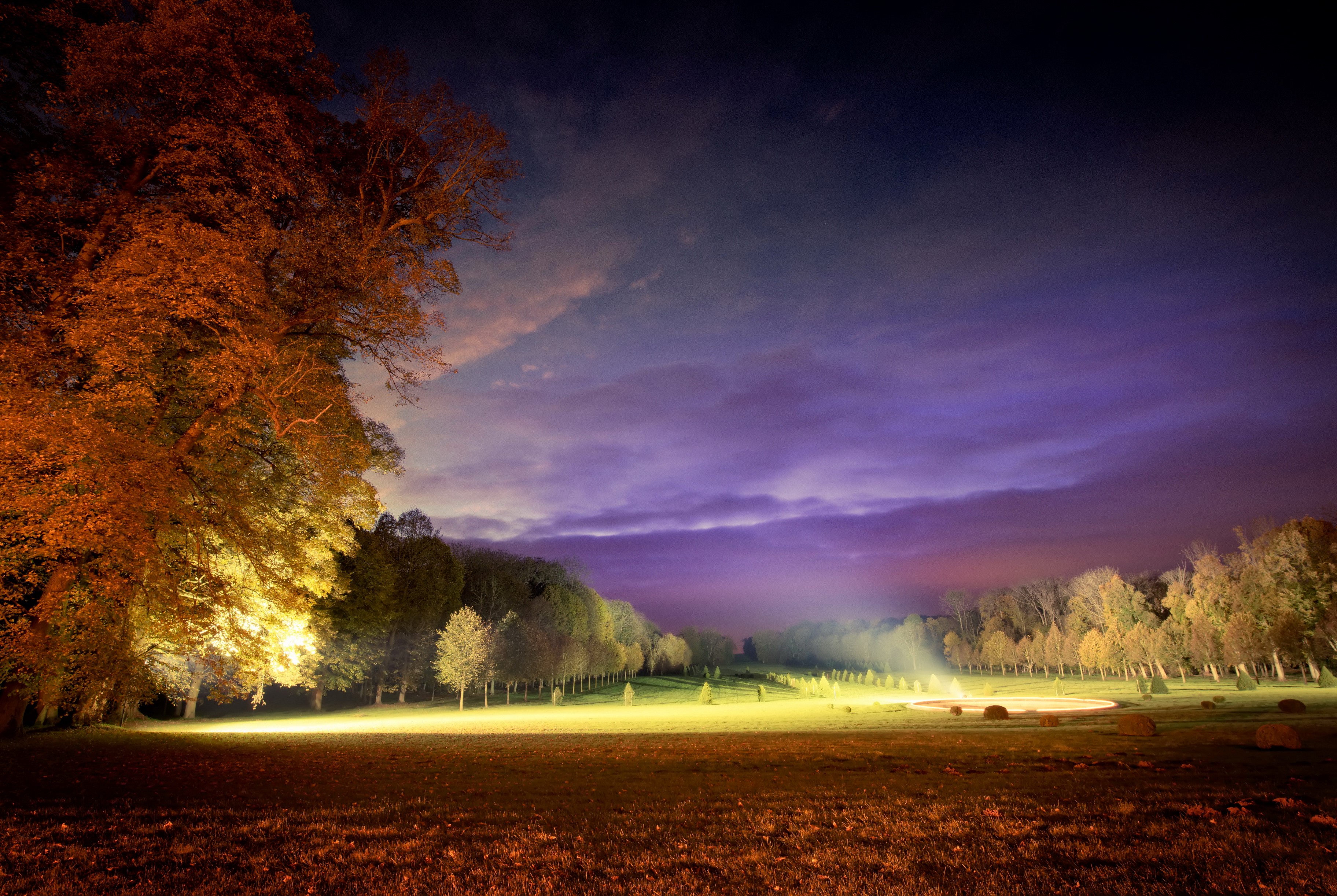 Park at dusk with illuminated trees and fountain HD Wallpaper