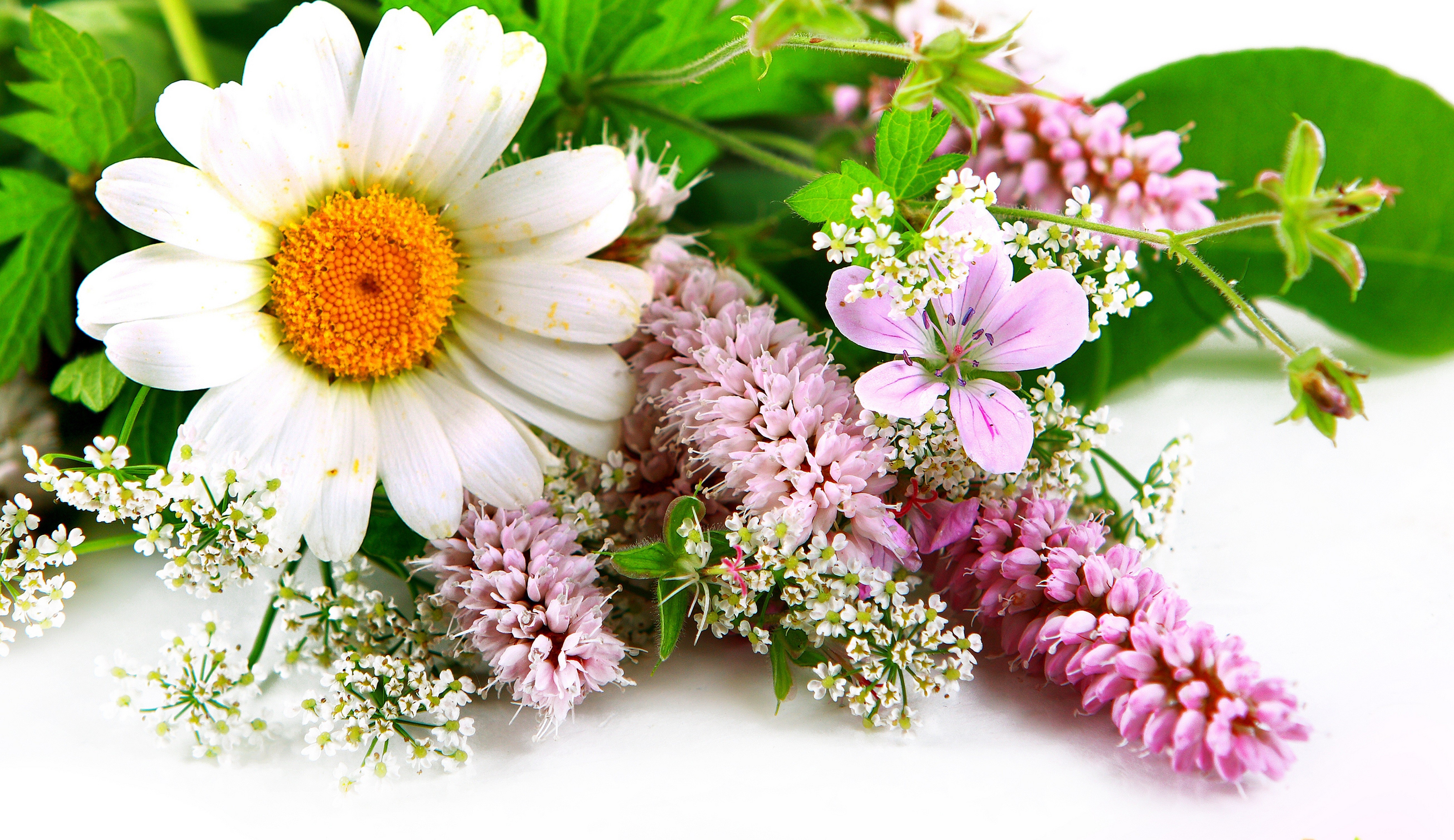 Bouquet of wildflowers with daisies and pink flowers HD Wallpaper
