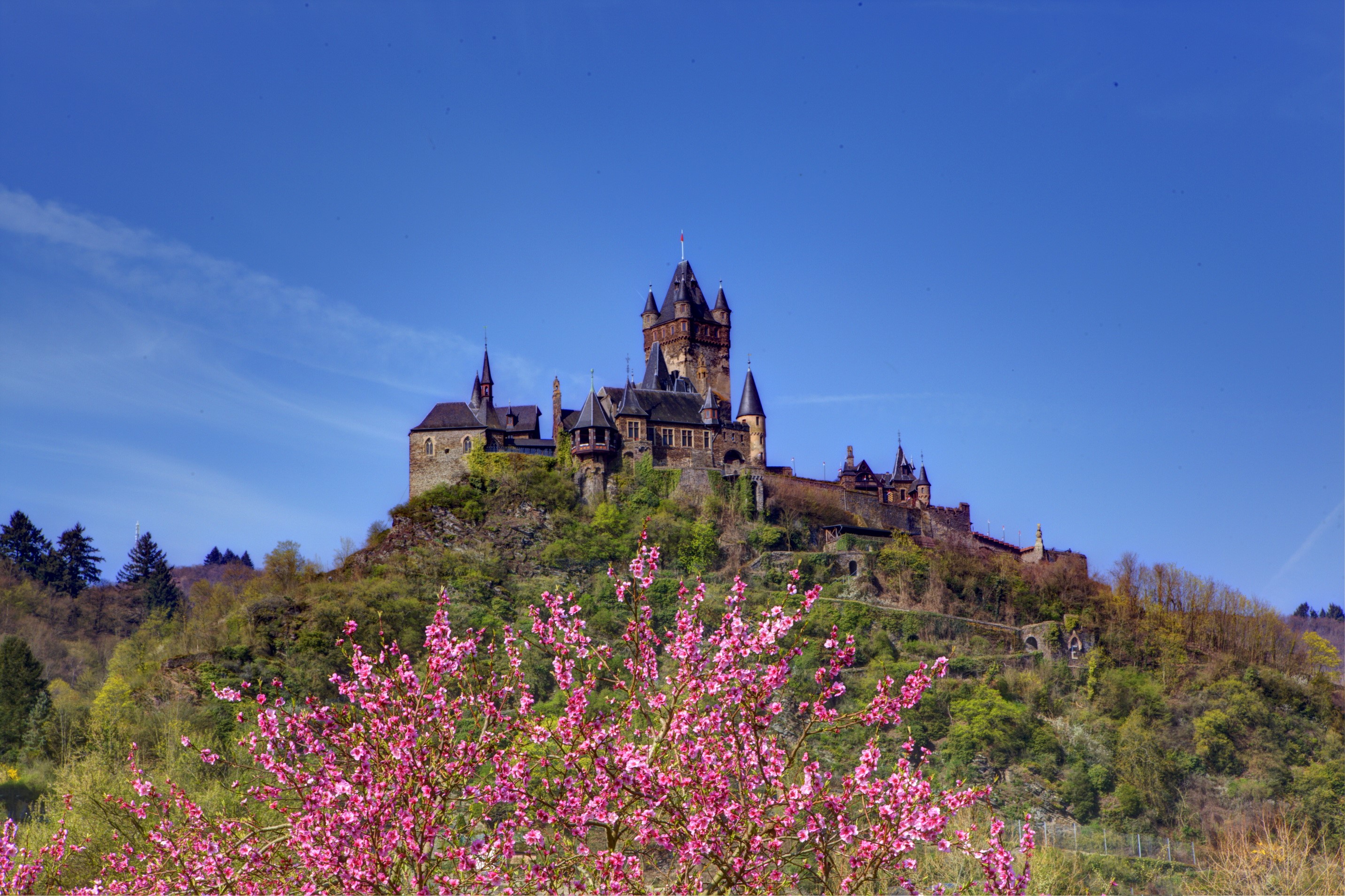 Reichsburg Cochem castle on a hill under a blue sky HD Wallpaper