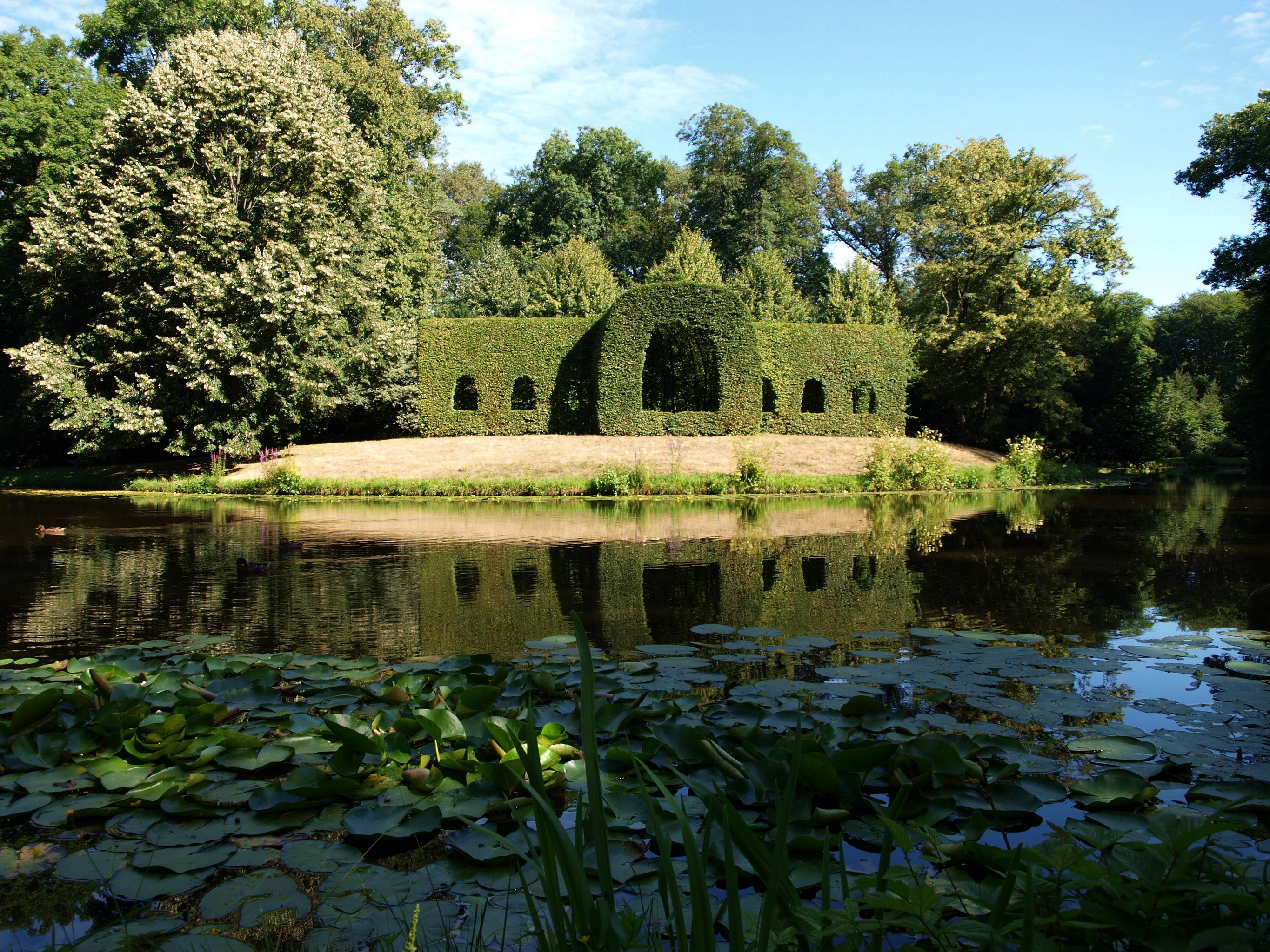Topiary garden structure reflected in a lake HD Wallpaper