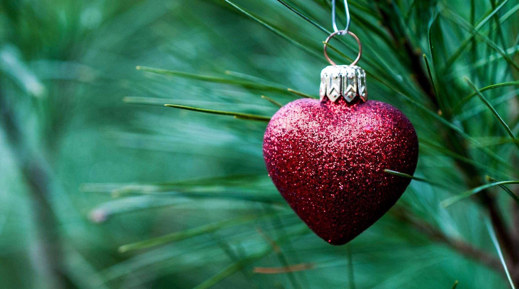 Red heart ornament on a pine tree HD Wallpaper