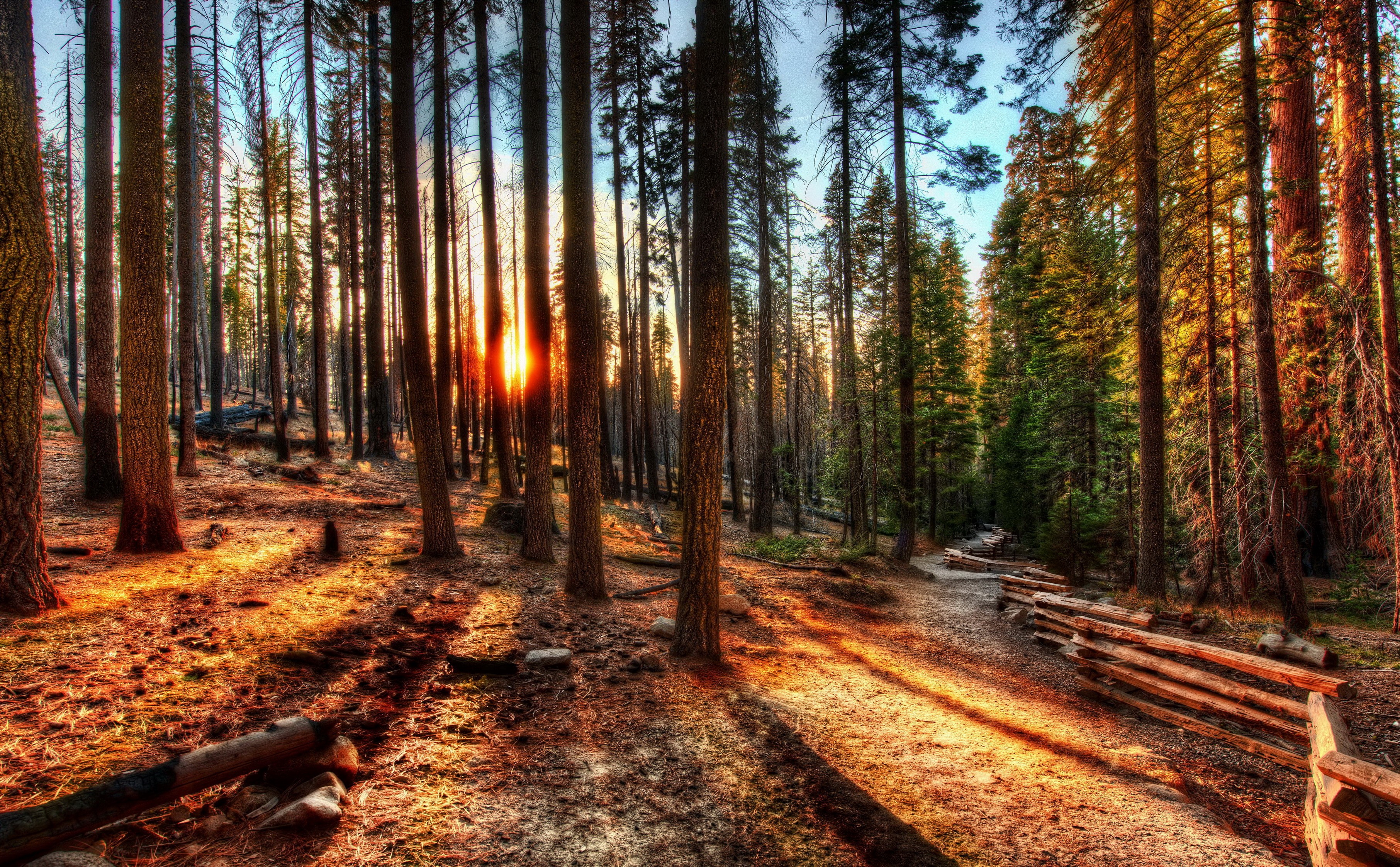 Sunset in Yosemite National Park, California HD Wallpaper