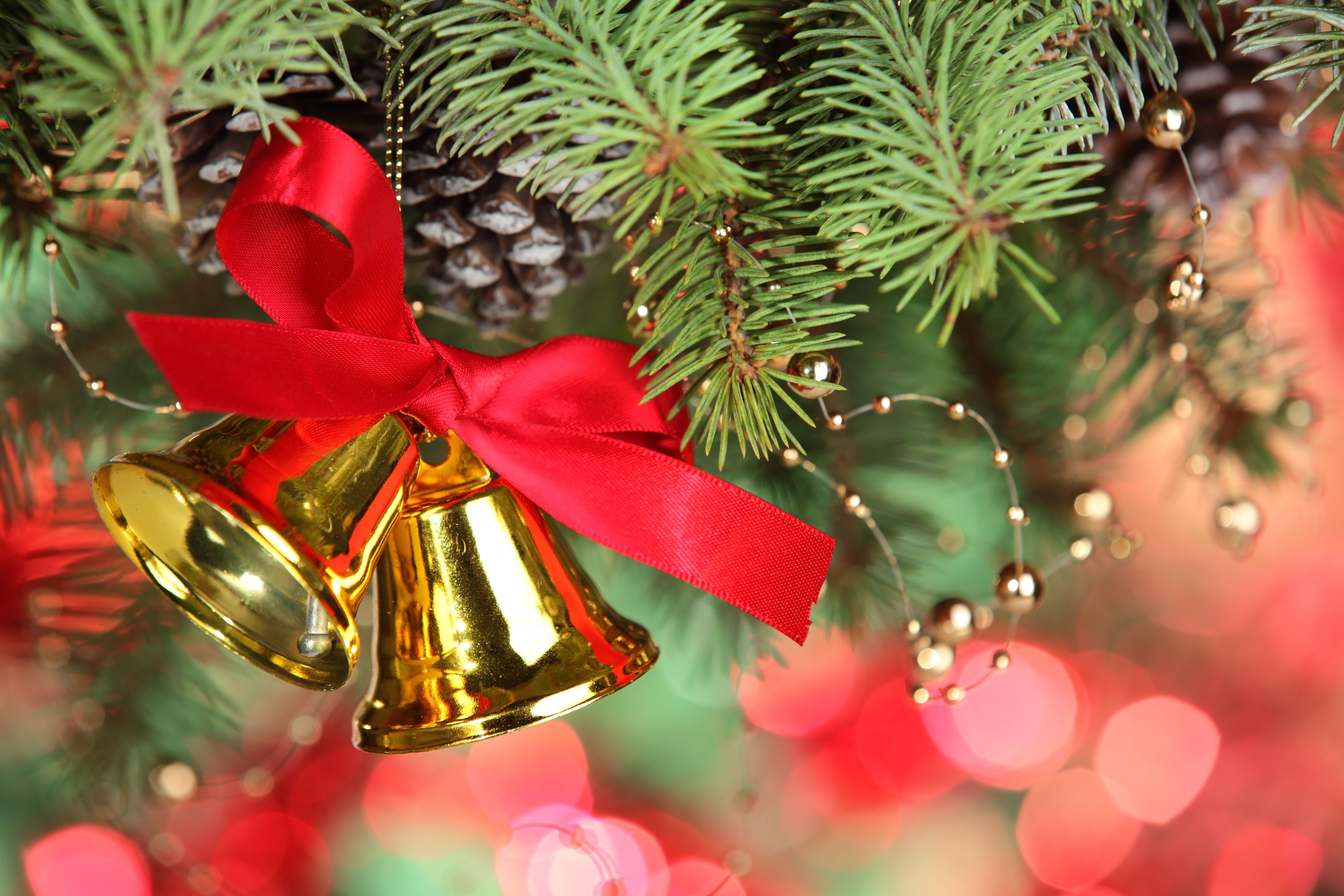 Christmas Bells with Red Ribbon on Pine Branches HD Wallpaper
