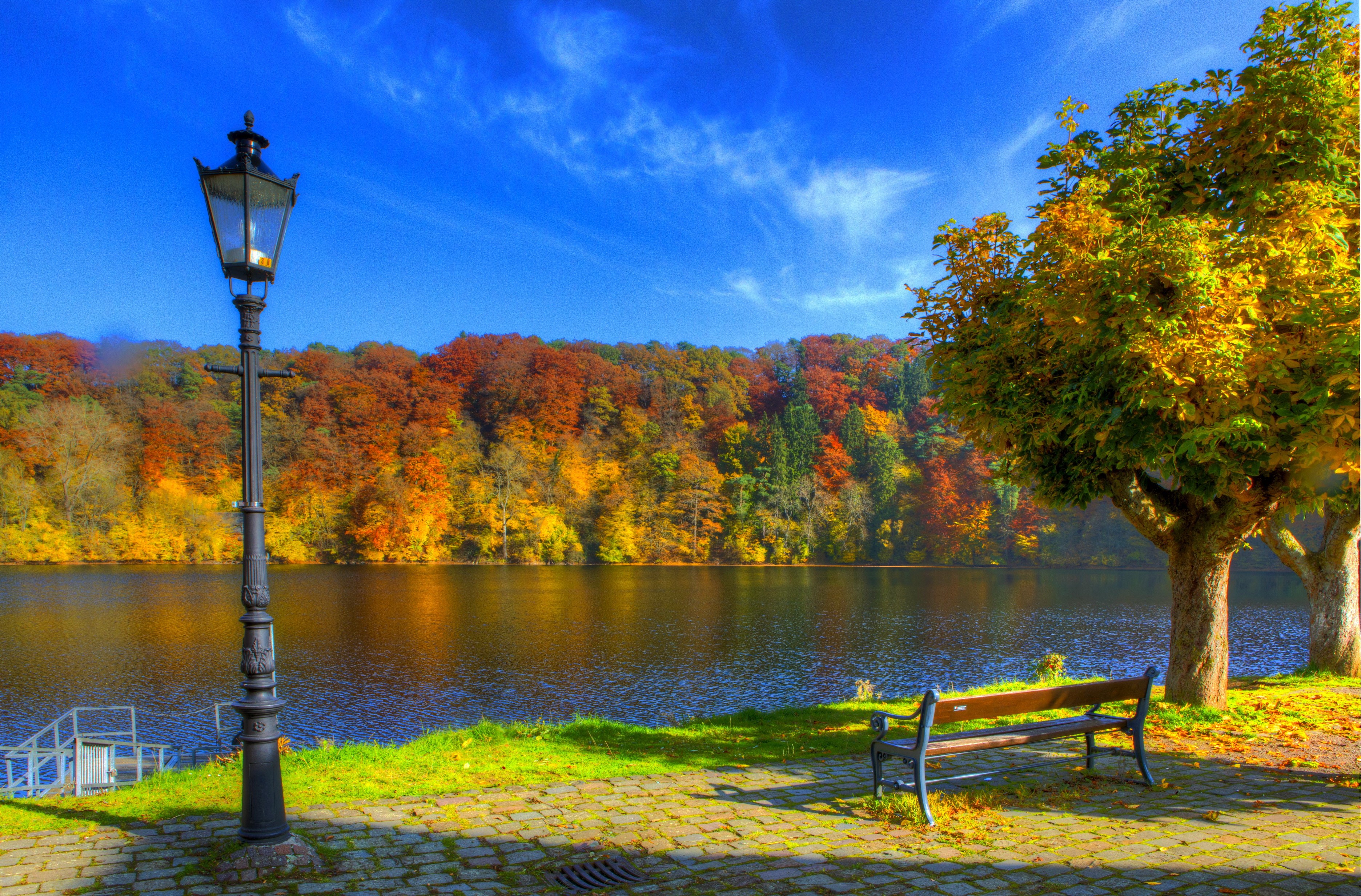 Autumn lake scene with a lamppost and bench in Germany HD Wallpaper