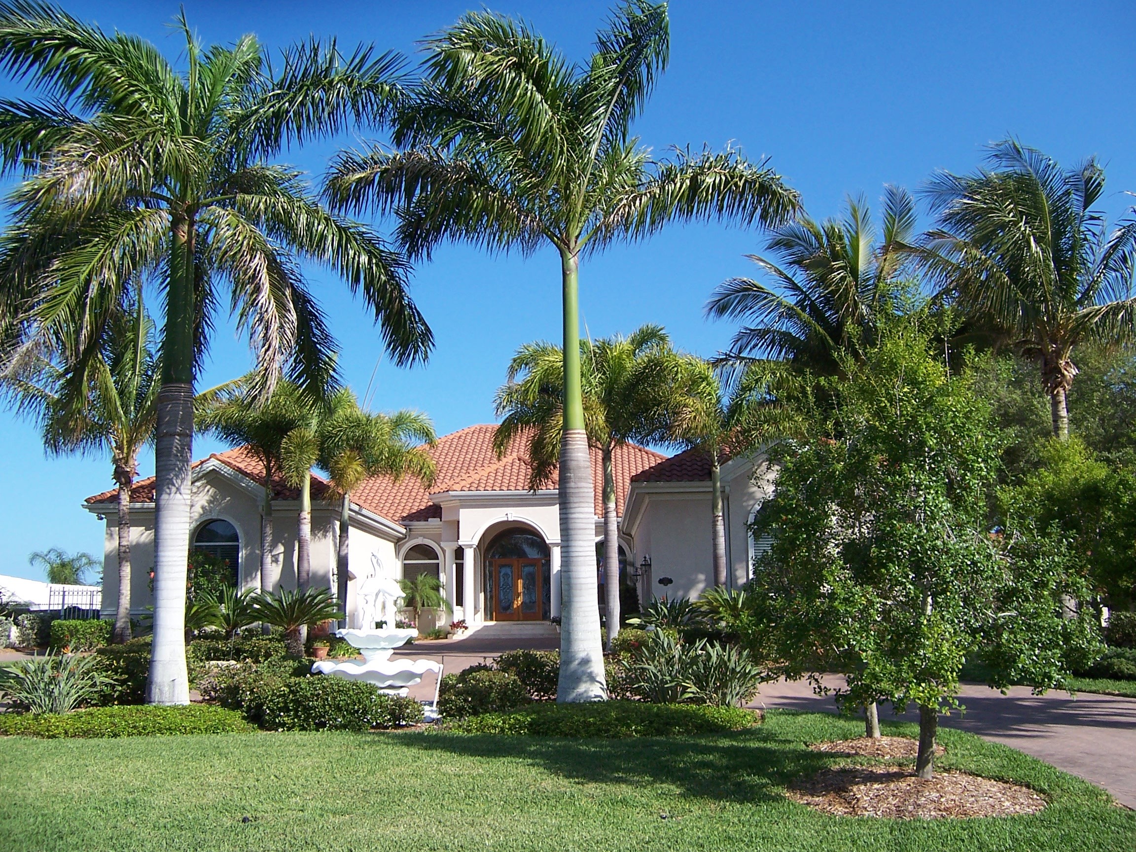 Luxury house with palm trees and fountain HD Wallpaper