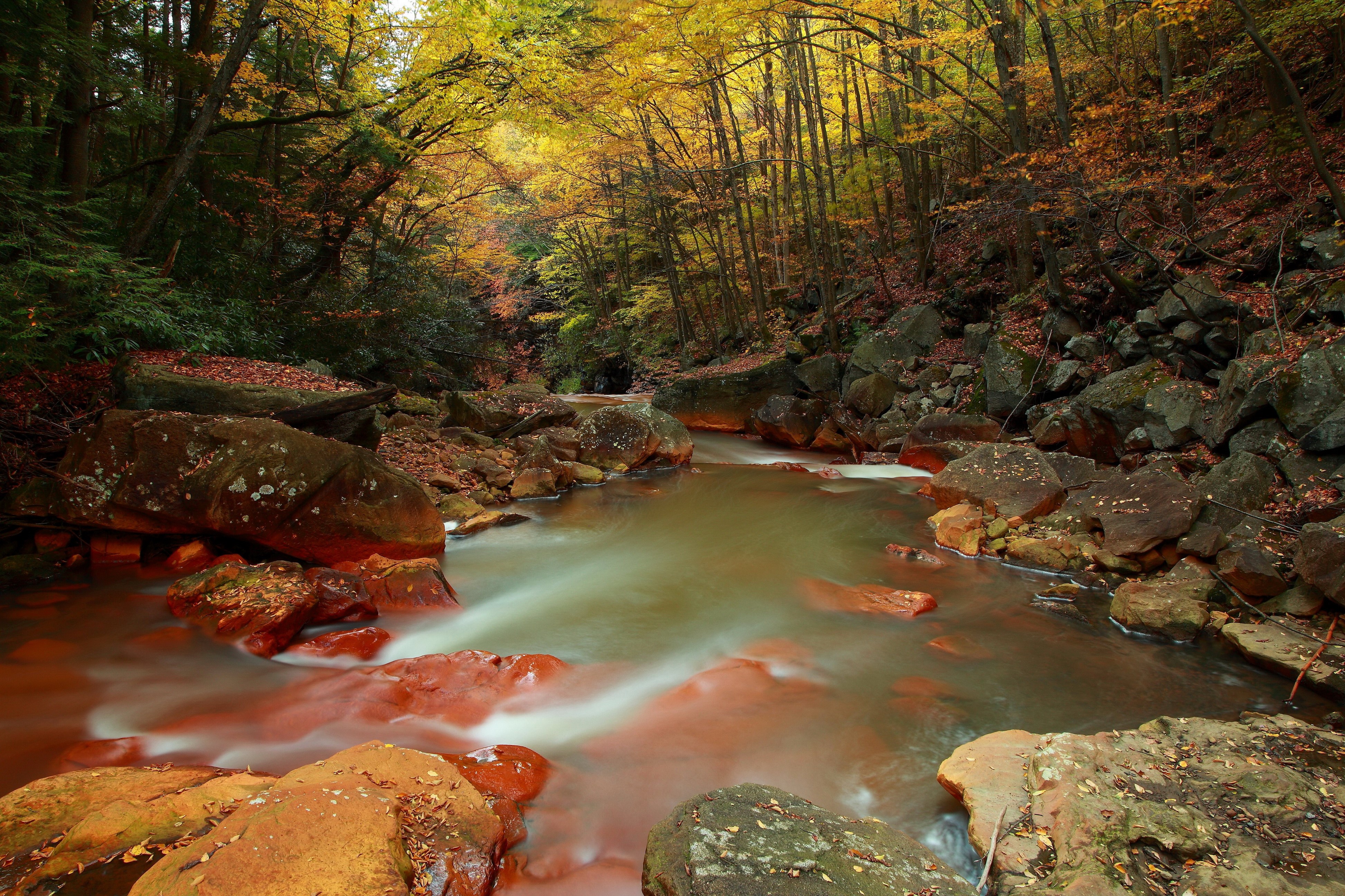 Autumn forest stream with red rocks and yellow trees HD Wallpaper