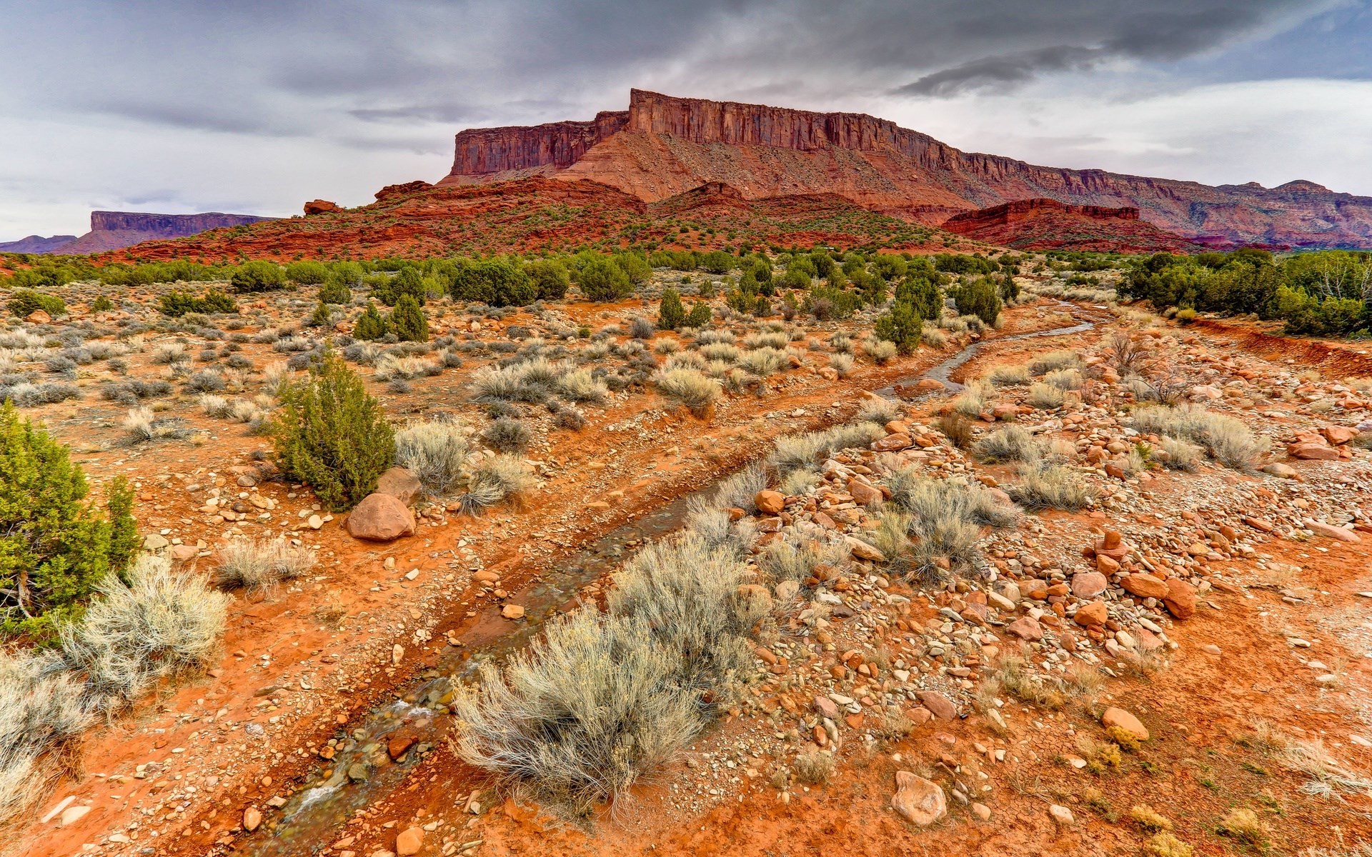 Desert landscape with red rock formations and sparse vegetation HD Wallpaper