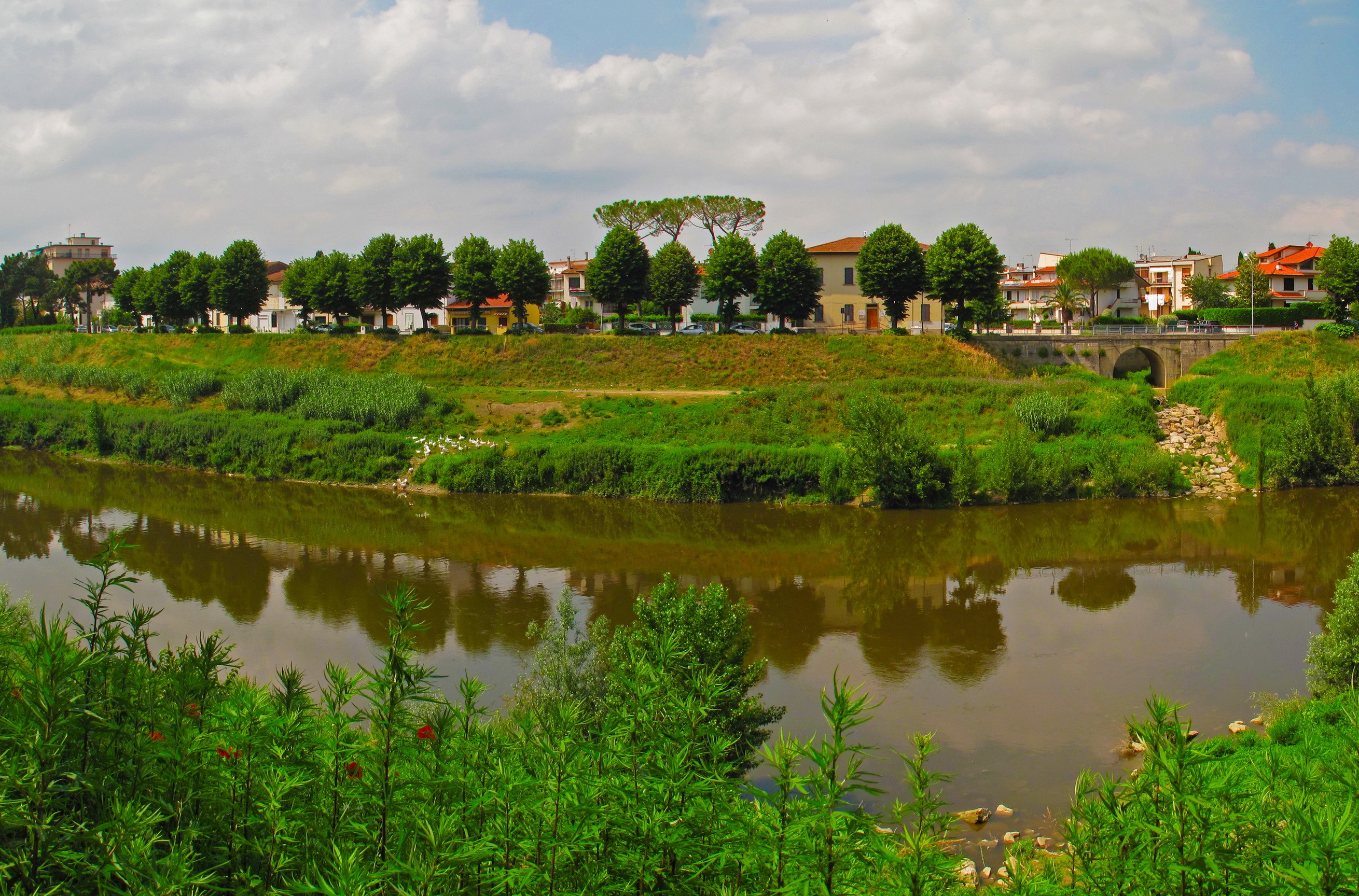 River with trees and buildings in Italy HD Wallpaper