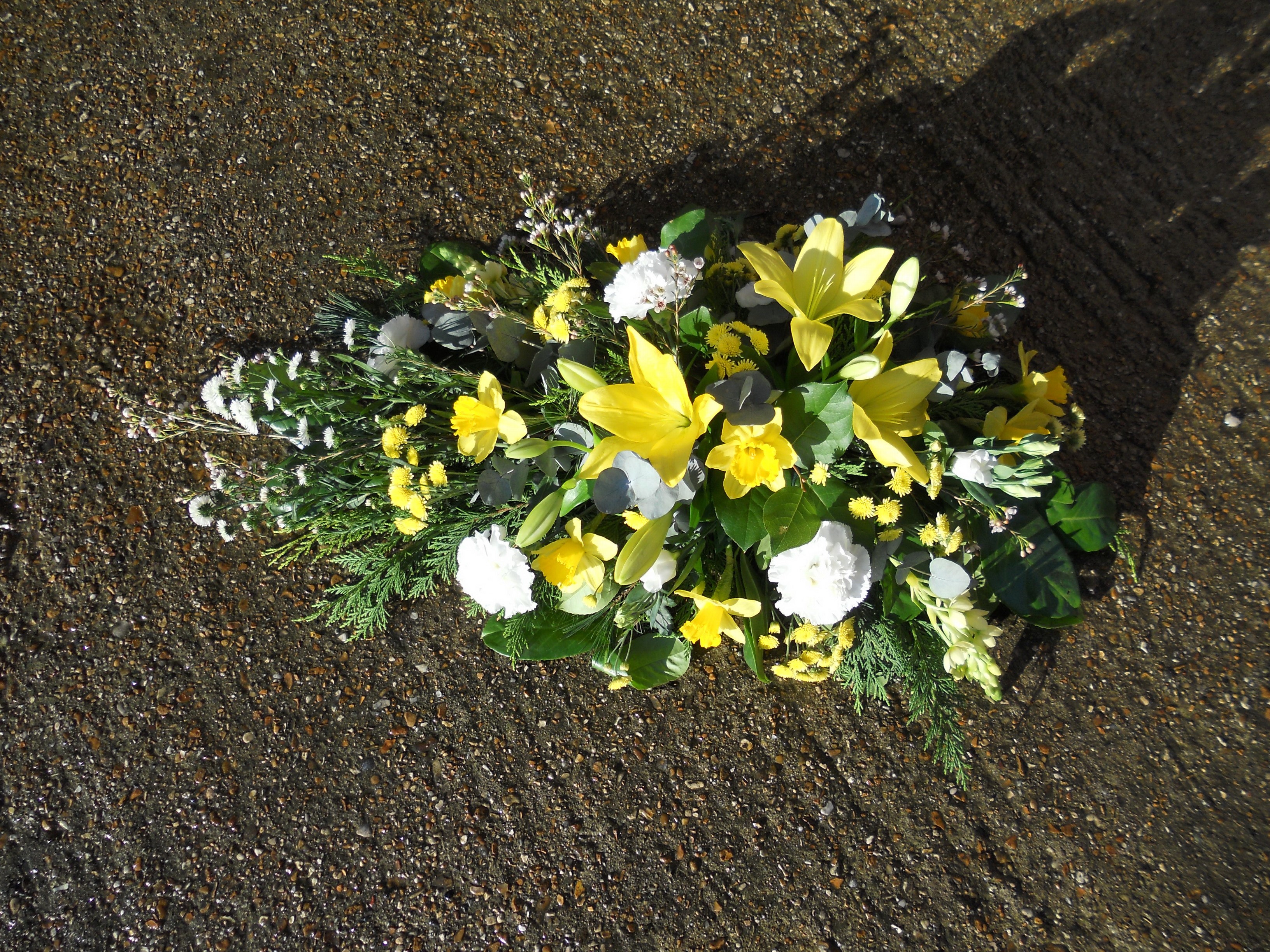 Yellow and white flowers on a textured surface HD Wallpaper