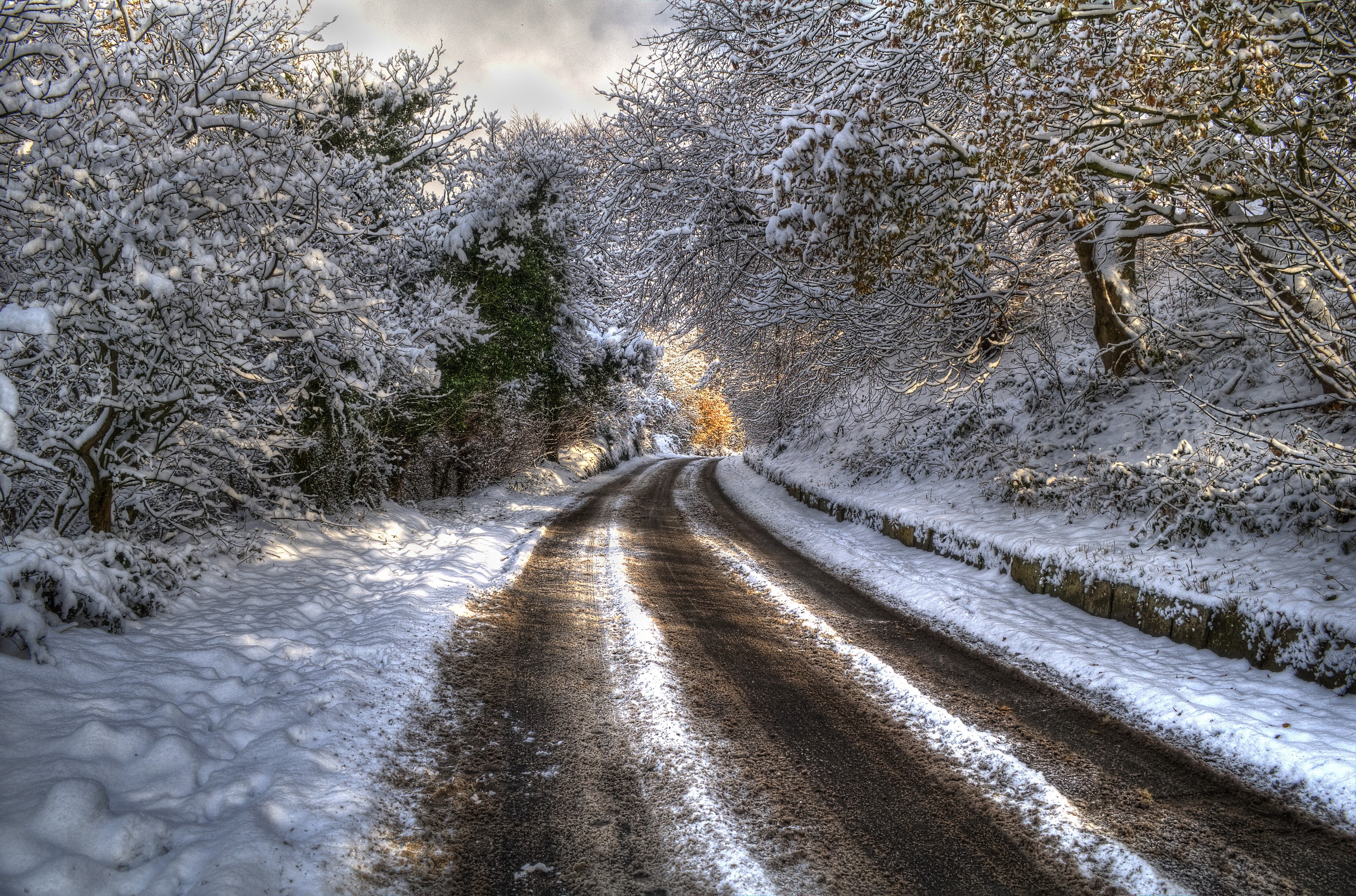 Snowy road winding through trees in winter HD Wallpaper