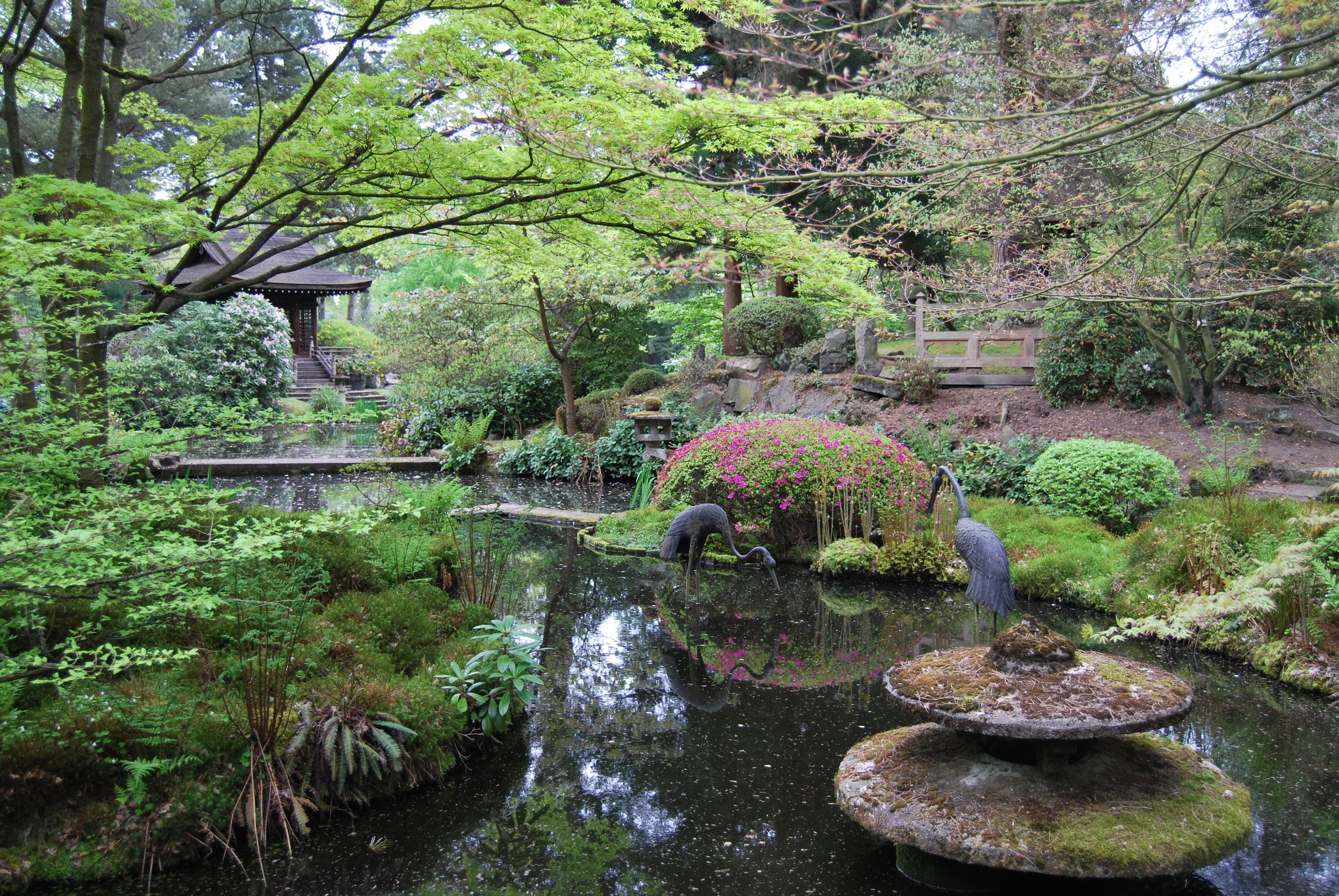 Japanese Garden with Pond and Pagoda HD Wallpaper