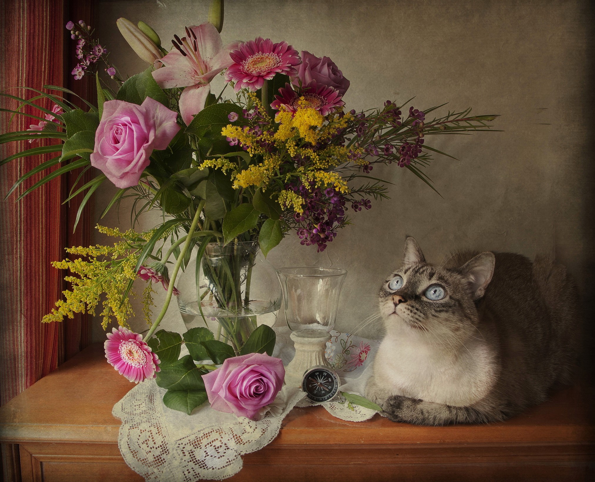 Cat looking up at a bouquet of flowers HD Wallpaper
