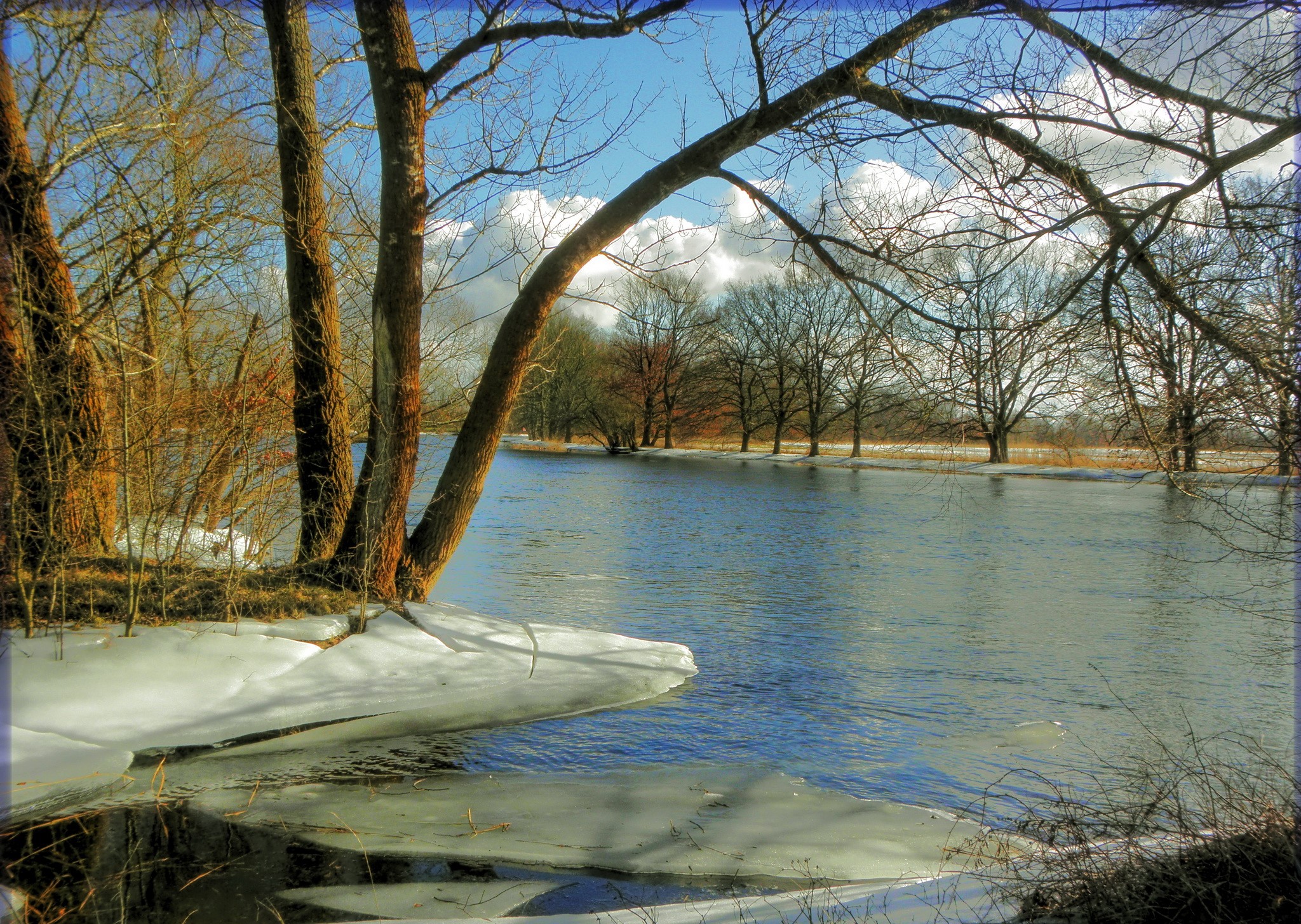 River with trees and snow in winter HD Wallpaper