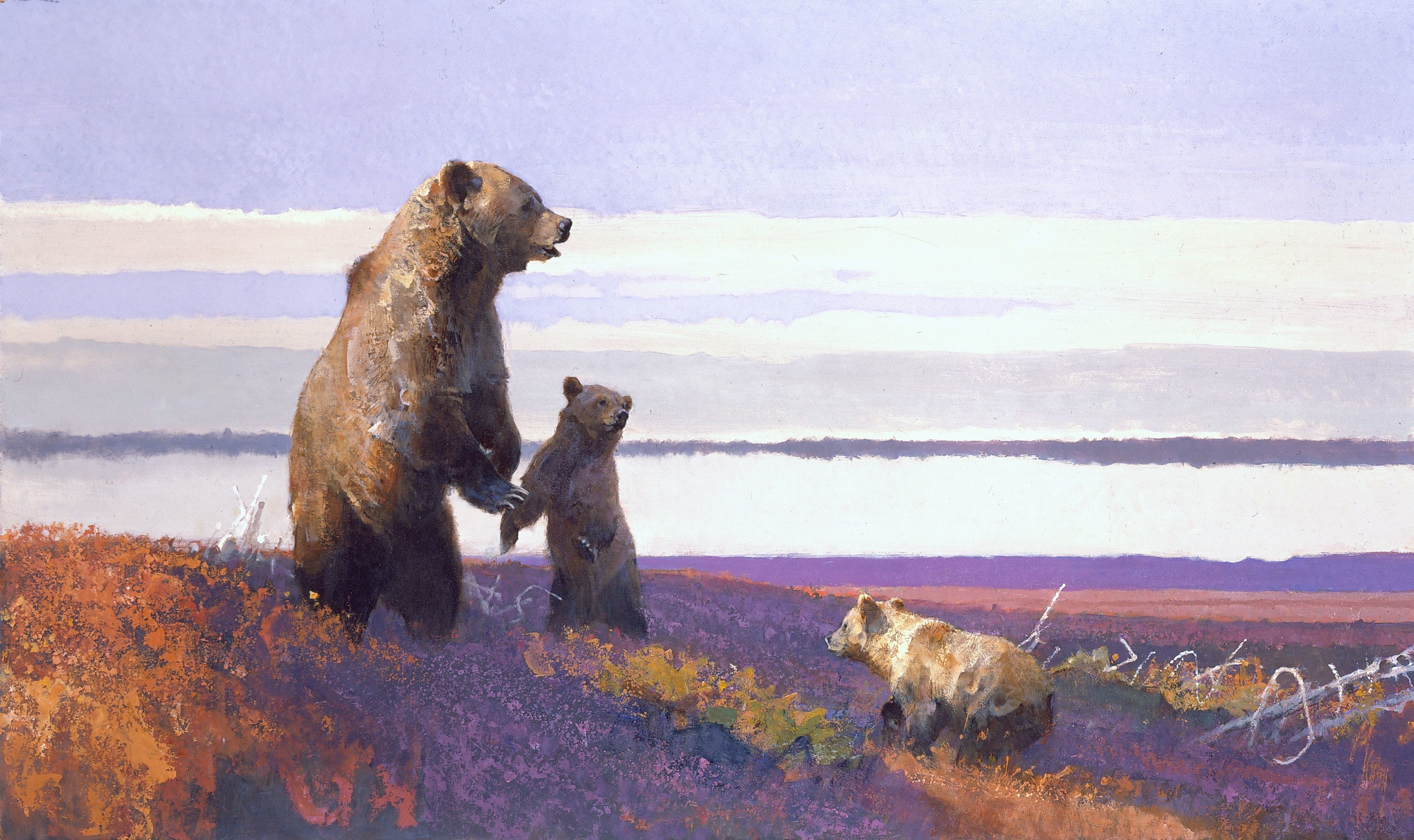 Brown Bears in a Tundra Landscape HD Wallpaper