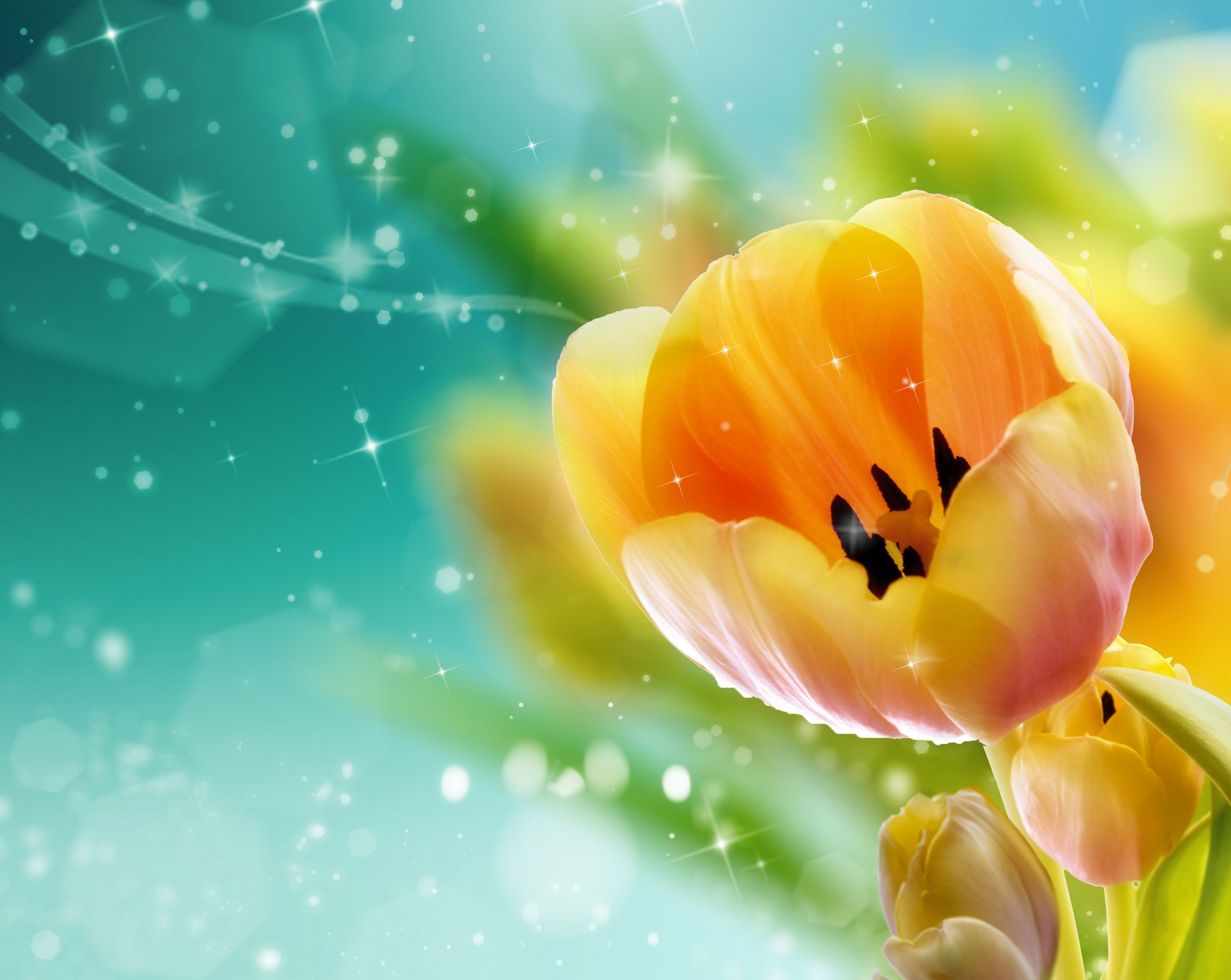 4K Yellow Tulips with Sparkles HD Wallpaper