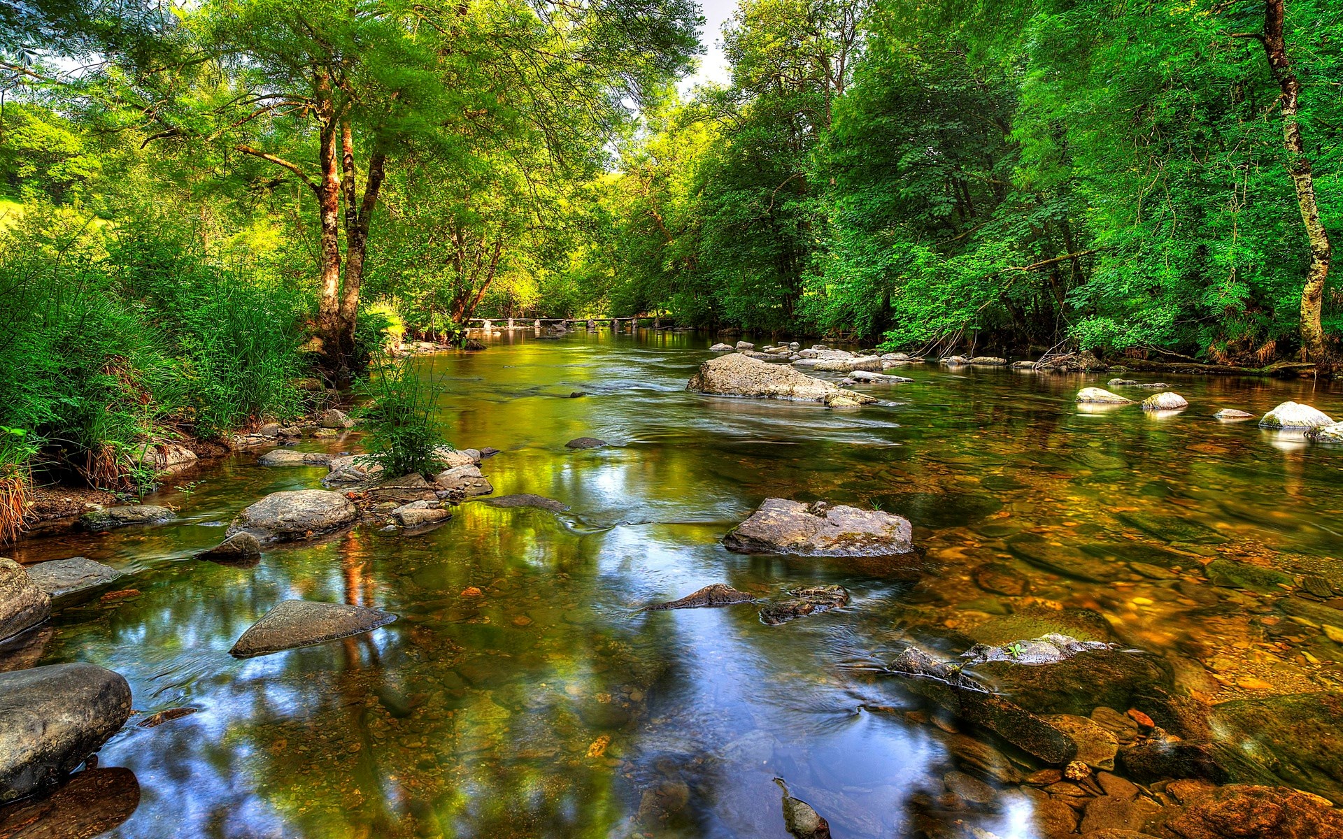 A clear river flows through a sunlit forest with rocks HD Wallpaper