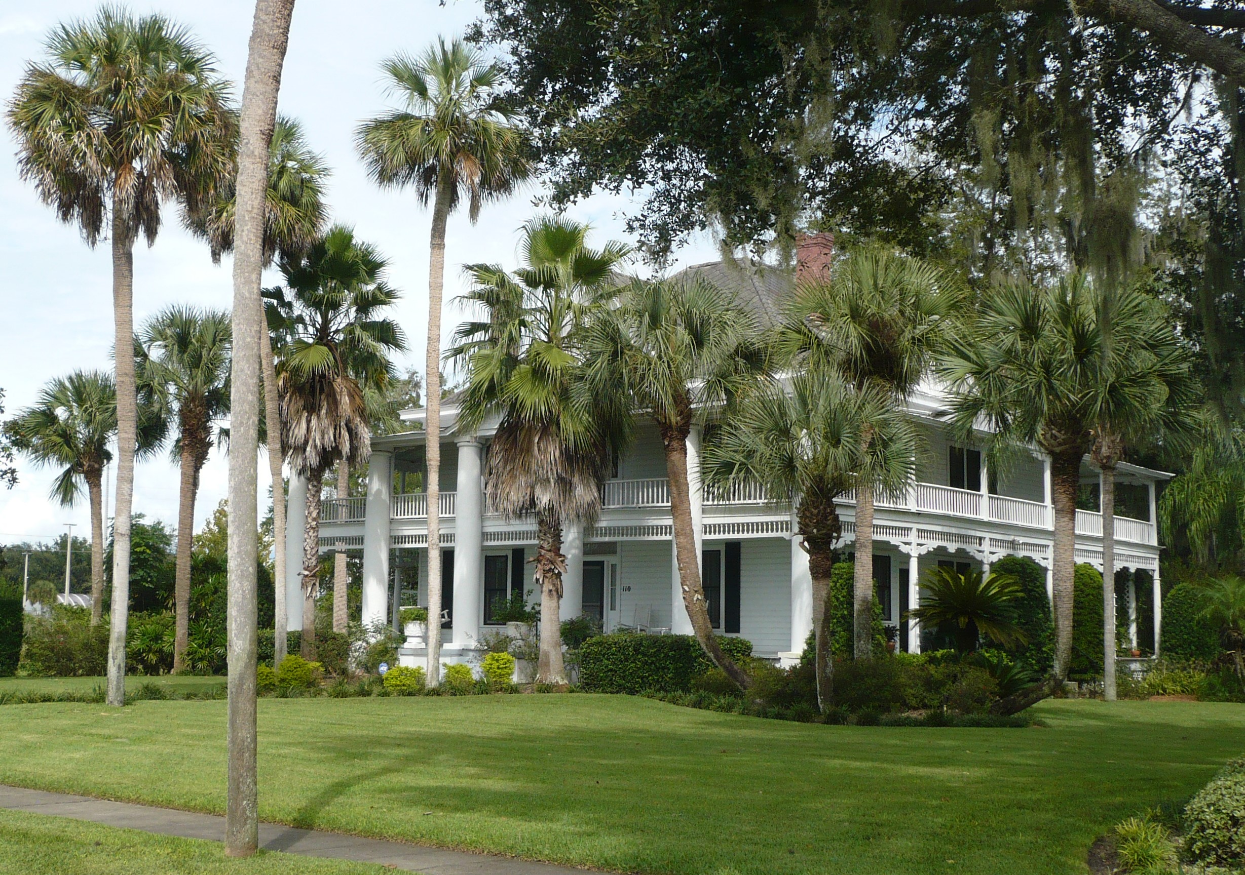 White mansion with palm trees and a lawn HD Wallpaper