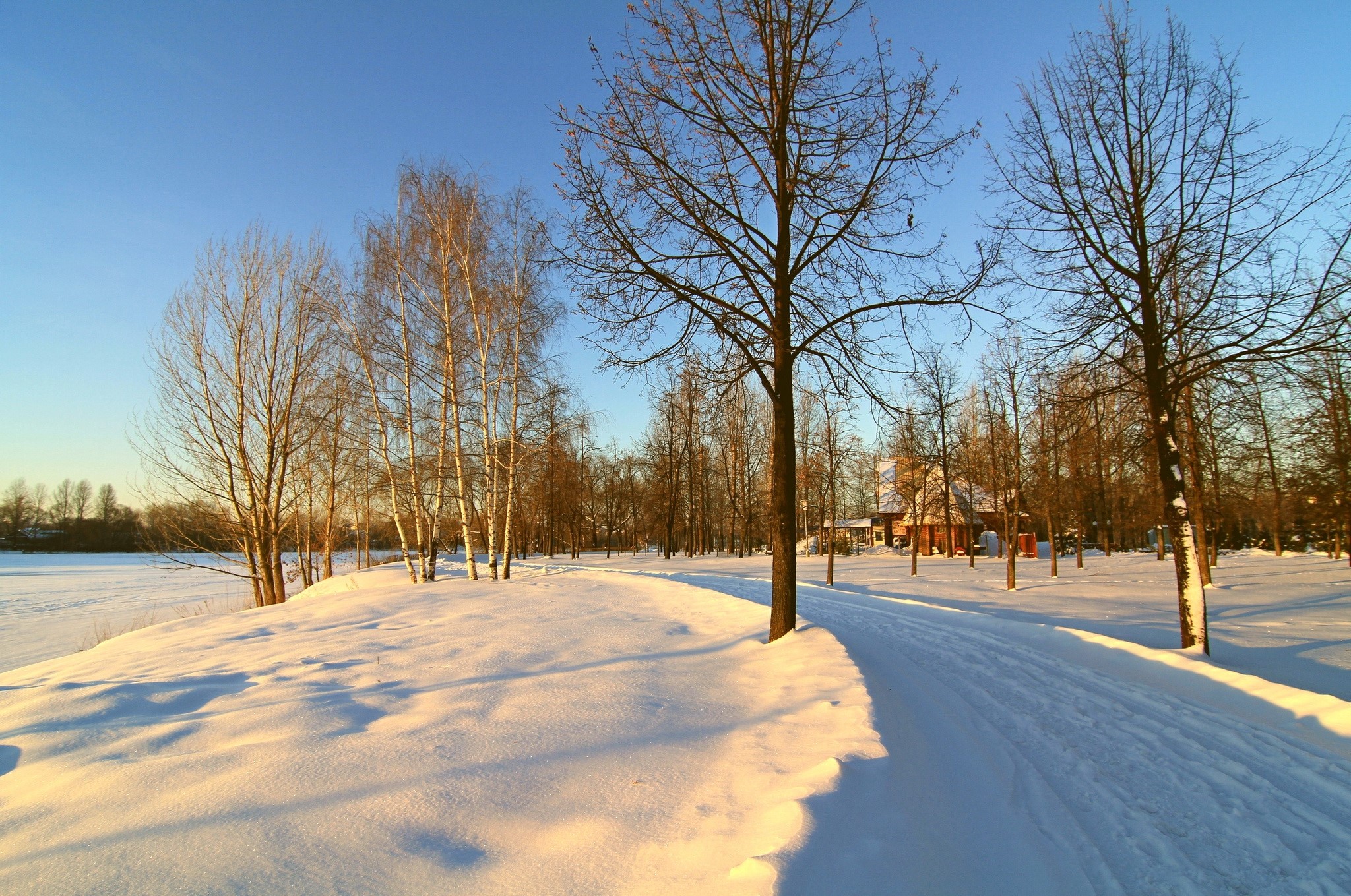 Winter park with snow-covered path and trees HD Wallpaper