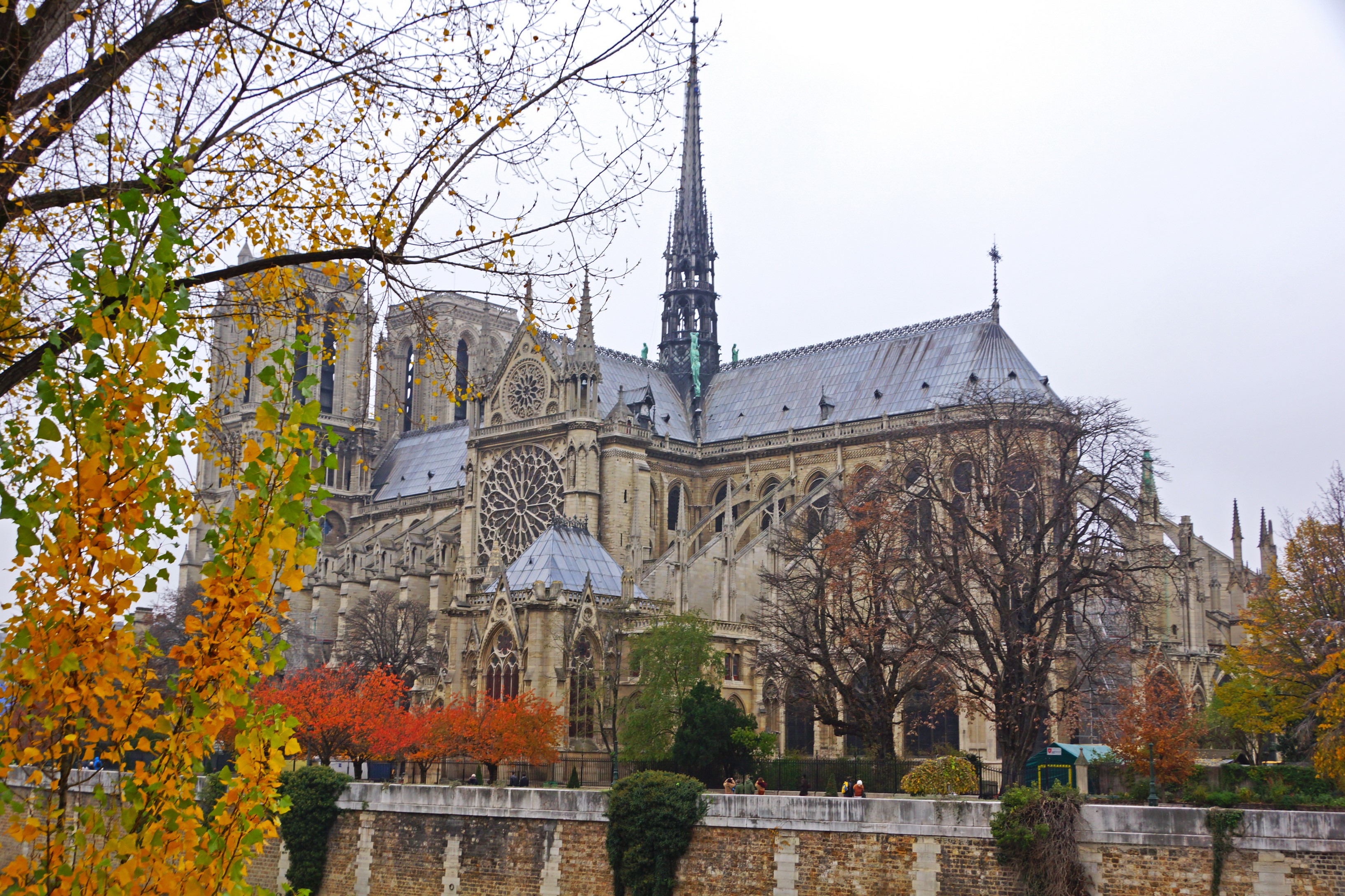 Notre Dame Cathedral in Paris during Autumn HD Wallpaper