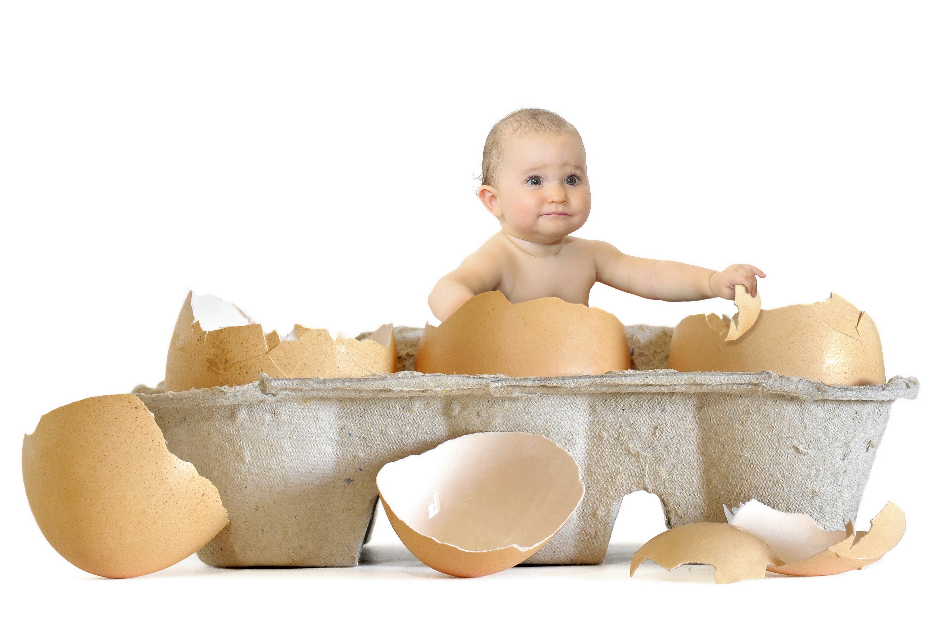 Baby in an egg carton with broken eggshells HD Wallpaper