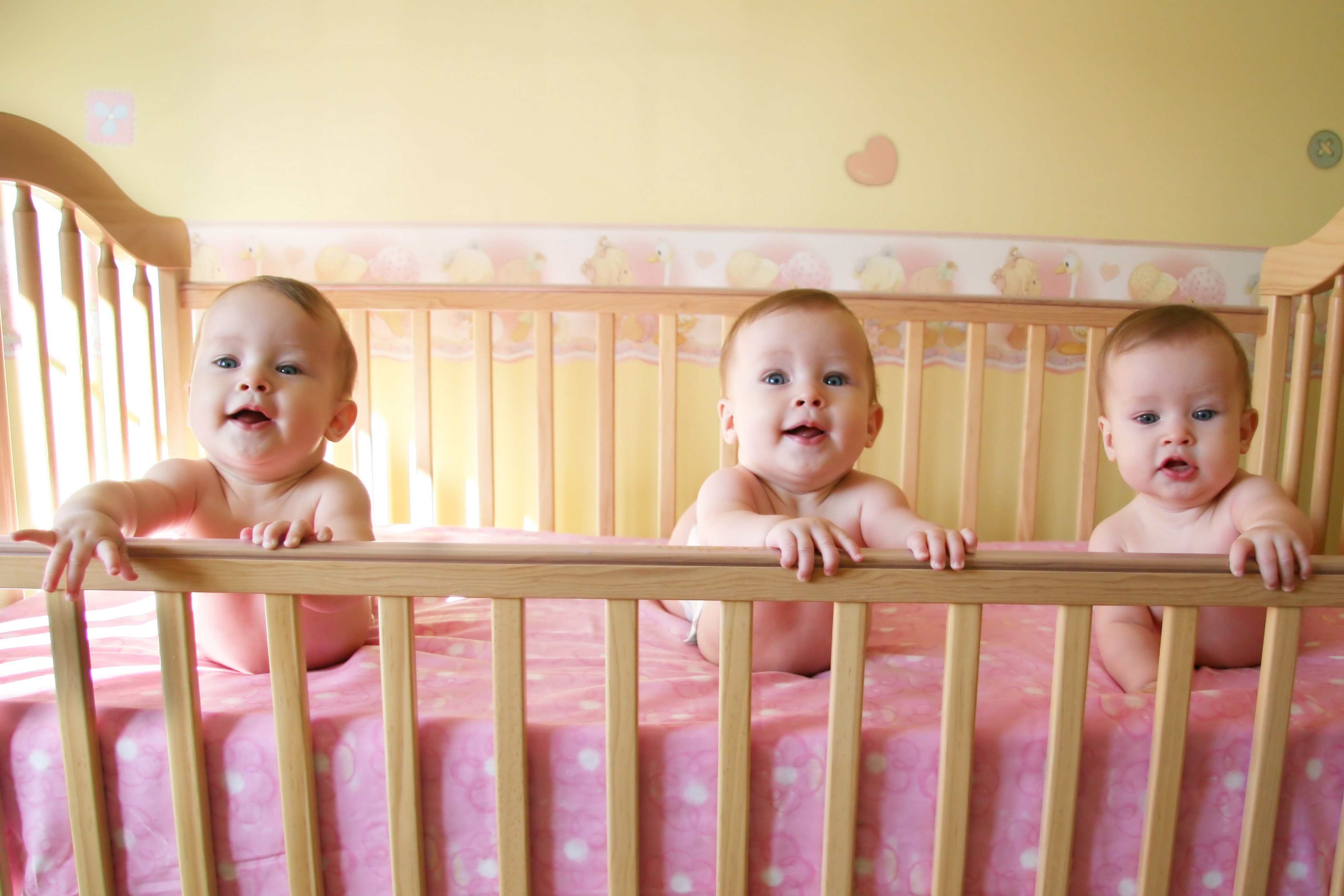Three infants in a crib HD Wallpaper